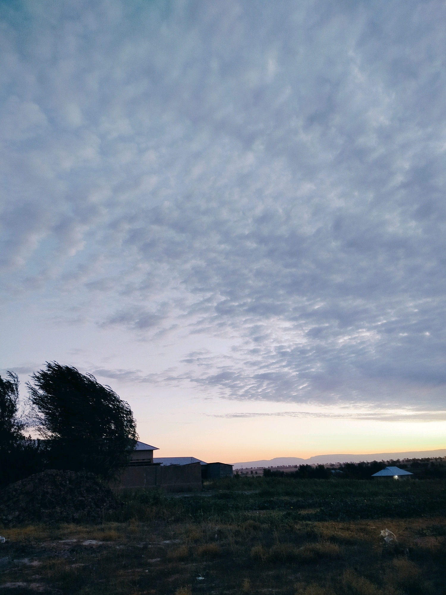 The image captures a serene dusk scene in the city of Kölkent, Kazakhstan. The sky is adorned with a vast expanse of textured, greyish-blue clouds, creating a sense of depth and atmosphere. As the light fades, a soft, warm glow emanates from the horizon, hinting at the setting sun.
In the foreground, the landscape is dominated by a dark, windswept tree on the left, its branches dramatically splayed as if caught in a strong gust. To the right of the tree, a low-lying building with a light-colored roof is visible, partially obscured by the tree. Further into the background, the silhouette of another structure with a similar roofline can be seen, nestled amongst other buildings that blend into the distant landscape. A faint, illuminated window in a building on the right suggests some human activity within. The ground is covered in dry, wispy grass and patches of darker earth, with some debris scattered around. The overall impression is one of quiet contemplation and the peaceful transition from day to night in a rural or semi-rural setting.