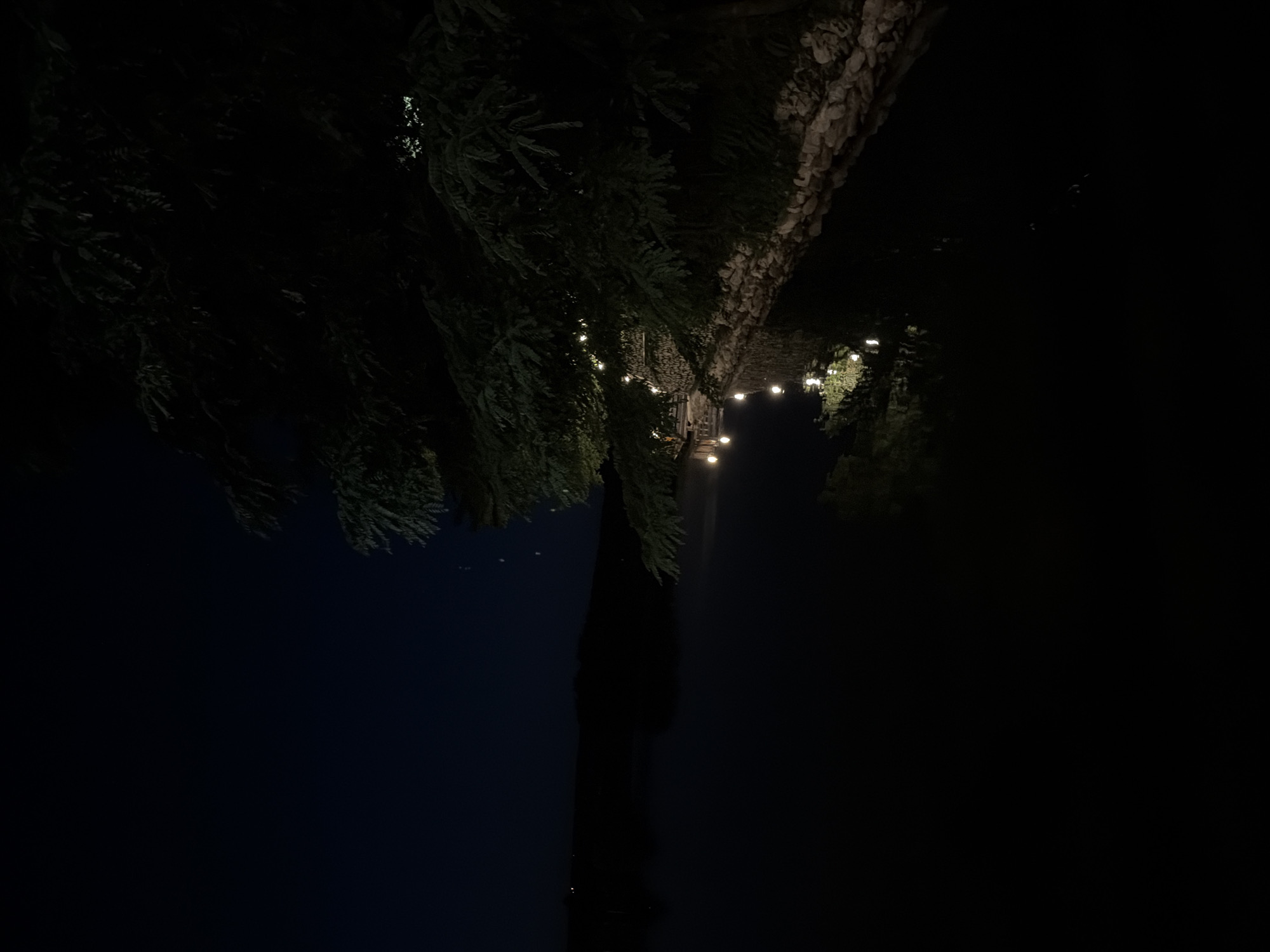 This image depicts a tranquil night scene by a body of water, possibly a lake or river, with a prominent tree on the right side of the frame. The tree's branches overhang the water, and strings of small, warm-toned lights are draped across them, casting a soft glow. These lights are also reflected in the dark, still water. The shoreline is lined with rough-hewn stones. In the background, a dark silhouette of land, likely hills or the opposite bank, is visible against the deep blue night sky. The overall atmosphere is serene and peaceful. The location in Strășeni, Moldova, suggests this might be a waterfront area, perhaps a park or a recreational spot, illuminated for evening ambiance. There are no people visible in the image.