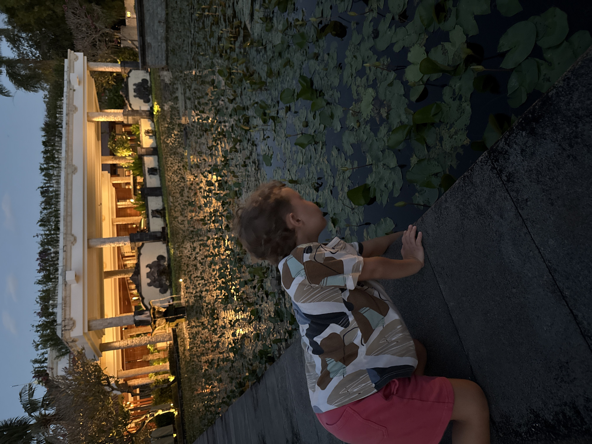 A young child with curly hair, wearing a multi-patterned short-sleeved shirt and red shorts, is depicted leaning over a low stone wall. The child's hands are placed on the dark, textured surface of the wall as they gaze intently downwards into a body of water. This water feature is extensively covered with green lily pads and other aquatic plants, reflecting the dim light.
In the background, a large building with architectural elements like pillars and a light-colored facade is illuminated by warm interior lights, casting a soft glow. Trees and dense foliage are visible around the building and in the distance against a twilight sky, indicating the time of day is dusk or early night. The ground where the child is positioned appears to be a dark-colored pathway, possibly wood or stone, with subtle reflections of light. The scene suggests a serene, contemplative moment, possibly at a resort or a public garden, consistent with the Kuta Selatan, Indonesia location context. There is no visible text.