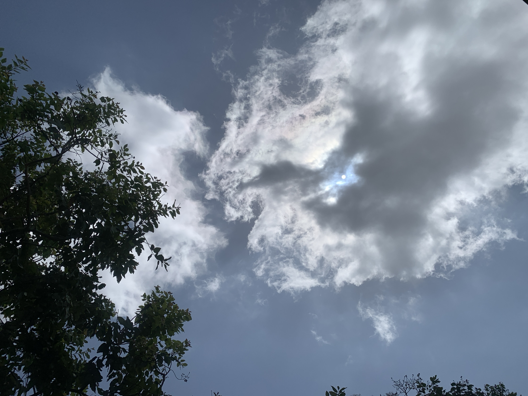 An upward-facing shot captures a dynamic sky above Kuru Karama, Nigeria. Lush green foliage from trees frames the top and left edges of the frame, partially obscuring the bright blue sky. Wispy white and grey clouds populate the sky, with a large, dense cloud formation dominating the center. The sun is visible, partially obscured by this cloud, creating a bright, circular halo and a subtle rainbow-like iridescence within the cloud itself. The overall impression is that of a partly cloudy day with the sun making its presence known through the atmospheric conditions.