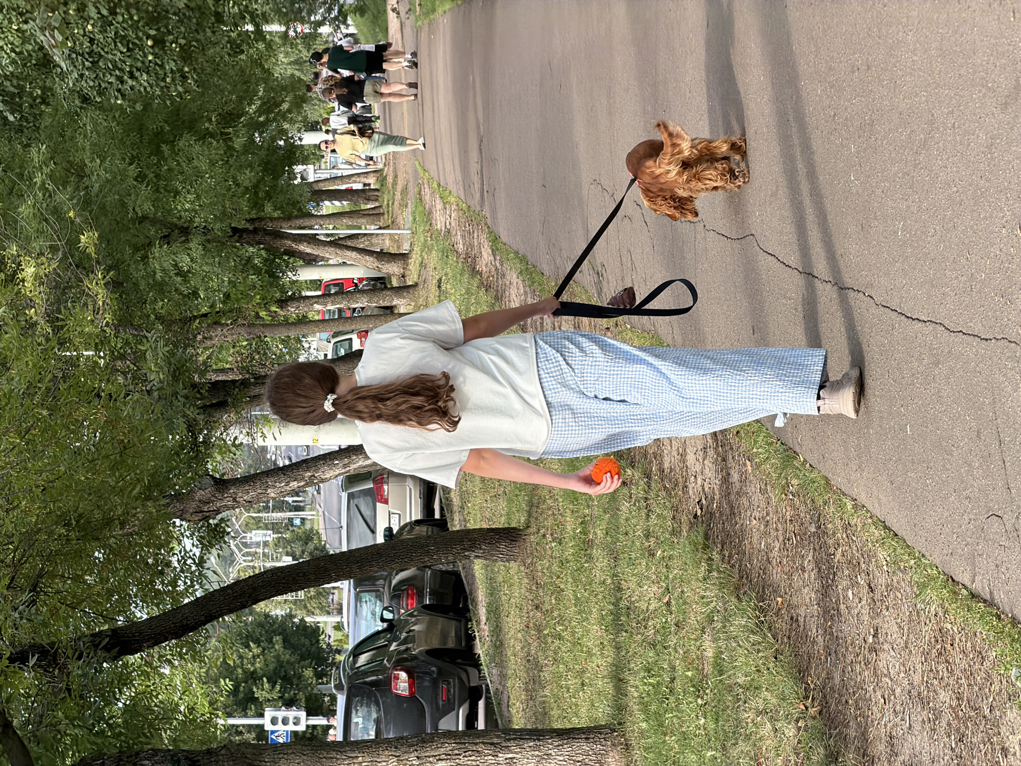 A young woman with long brown hair tied in a ponytail walks on a sidewalk in Minsk, Belarus, holding a leash attached to a small, tan dog. She wears a white t-shirt and blue and white checkered pants. In her right hand, she holds an orange ball. The dog, a spaniel breed, walks ahead of her on the leash. Behind the woman, other pedestrians are visible walking in the distance. Cars are parked along the side of the street to the left of the sidewalk, and a line of trees with green foliage borders the sidewalk. The ground on the left side of the sidewalk is covered with grass and some fallen leaves. The sidewalk itself is cracked asphalt. In the background, a traffic light and more trees are visible, with buildings and a bridge in the distance. The scene appears to be a public park or a tree-lined street in a city.