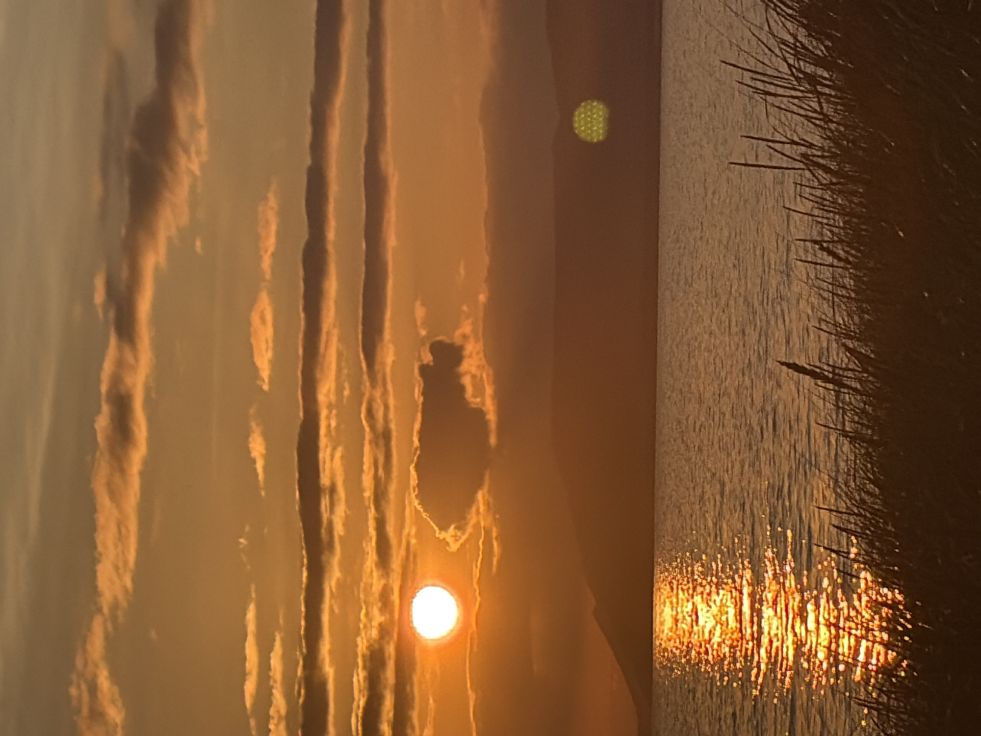 The image depicts a sunset over a body of water, with land visible in the distance. The sun is a bright, white orb partially obscured by clouds. The sky is a vibrant orange and yellow, with horizontal bands of clouds. The water reflects the colors of the sky, creating a shimmering path of light. In the foreground, tall grass and reeds are silhouetted against the water. The scene appears to be a natural landscape, possibly a lake or the sea, with a hilly horizon. There are no people or man-made structures visible in the immediate vicinity of the sunset, water, or foreground vegetation. It is impossible to determine the specific location in Ozerskoe, Russia based solely on this image.