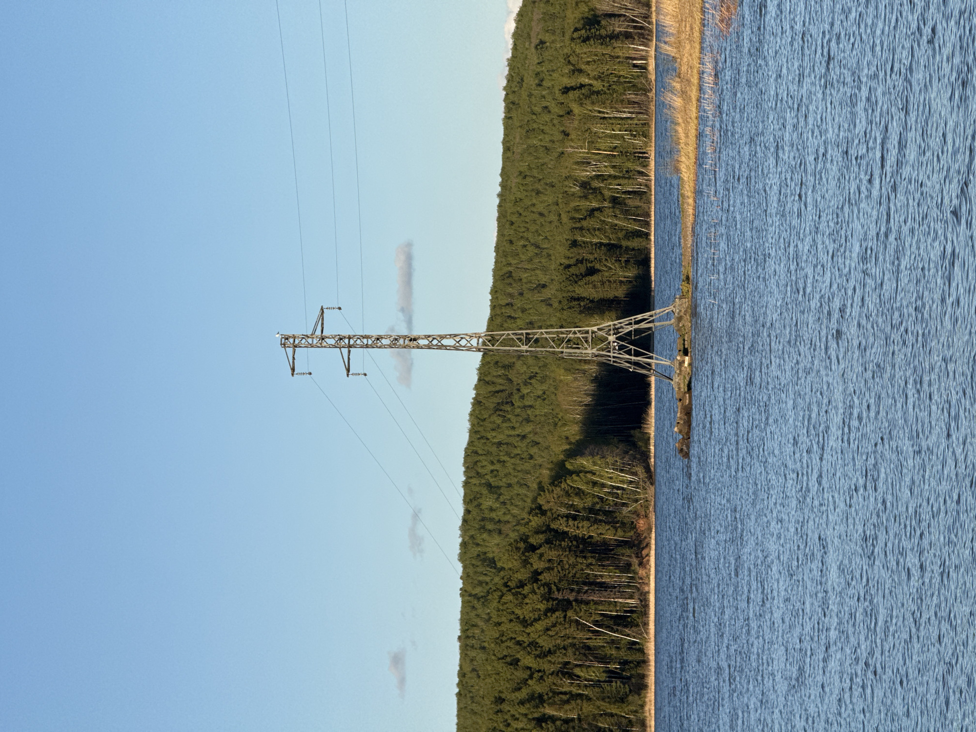 The image shows a power line tower in a body of water, likely a lake or reservoir, in Chaikovsky, Russia. The tower stands in the water near a forested shoreline. The sky is clear blue. The water surface is rippled, indicating wind. No people are visible.