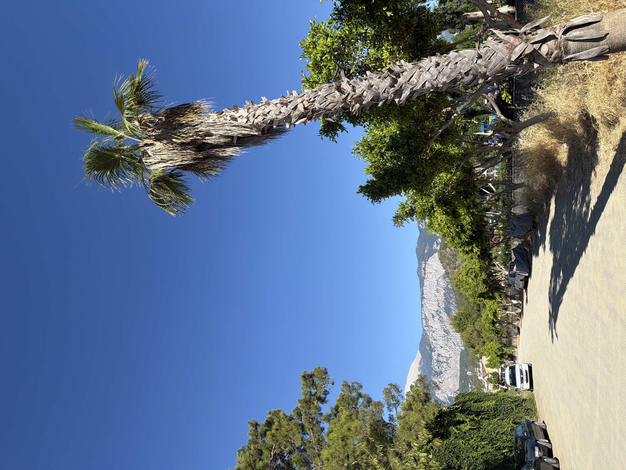The image shows a sun-drenched, dusty road in Kemer, Turkey, with a leaning palm tree prominently in the foreground. The sky is a clear, vibrant blue. To the left, a dense green ivy-covered wall borders the road, with a dark car parked. Further down the road, a white van and another lighter-colored car are visible. A row of trees lines the right side of the road, casting long shadows on the ground. In the background, a majestic mountain range, likely the Taurus Mountains, rises under the bright sky, with some buildings nestled at its base. The overall impression is a typical Mediterranean landscape, likely a quiet street or parking area within or on the outskirts of Kemer.