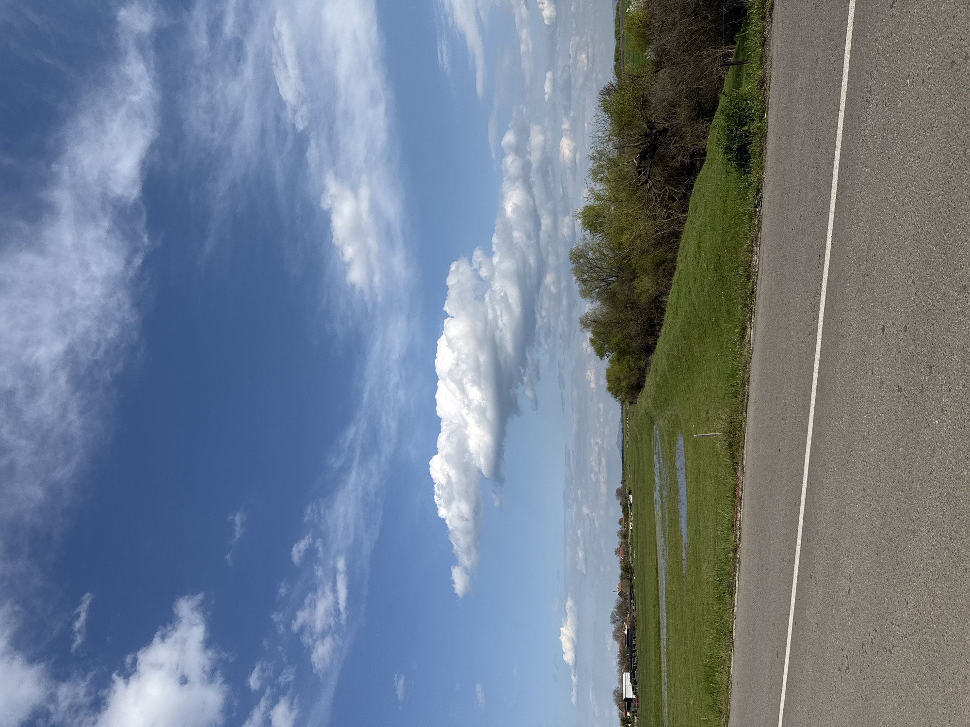 A horizontal photograph shows a view of a blue sky with white clouds, a grassy field with standing water, a line of trees, and a paved road with a white stripe in the city of Pshenichevo, Bulgaria. The sky occupies the upper left portion of the image, featuring a vibrant blue backdrop dotted with fluffy white clouds of varying shapes and sizes. Adjacent to the sky is a field of green grass. Puddles of standing water reflect the sky. Further down the field, a row of trees marks a boundary. Along the right side is a paved road with a solid white line. The road’s surface is visible in detail. The photograph appears to have been taken during the day.