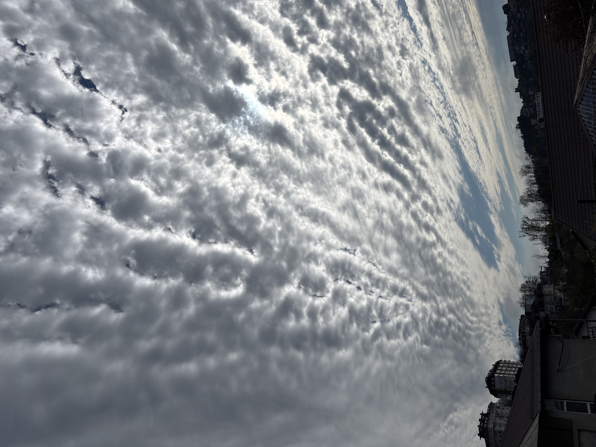The image shows a view upwards towards a sky filled with altocumulus clouds, potentially in the city of Sochi, Russia. The cloud formation is rippled and covers most of the sky, with some patches of blue visible between the clouds. In the lower right corner and along the right side of the image, there are rooftops and buildings, indicating an urban environment. Bare trees are also visible along the skyline. The image is taken from a low angle, emphasizing the clouds and the height of the buildings. Some sunlight is breaking through the clouds. The buildings are residential with a mix of architectural styles. The light suggests a daytime shot, potentially in the late morning or early afternoon. There are no people visible in the image.