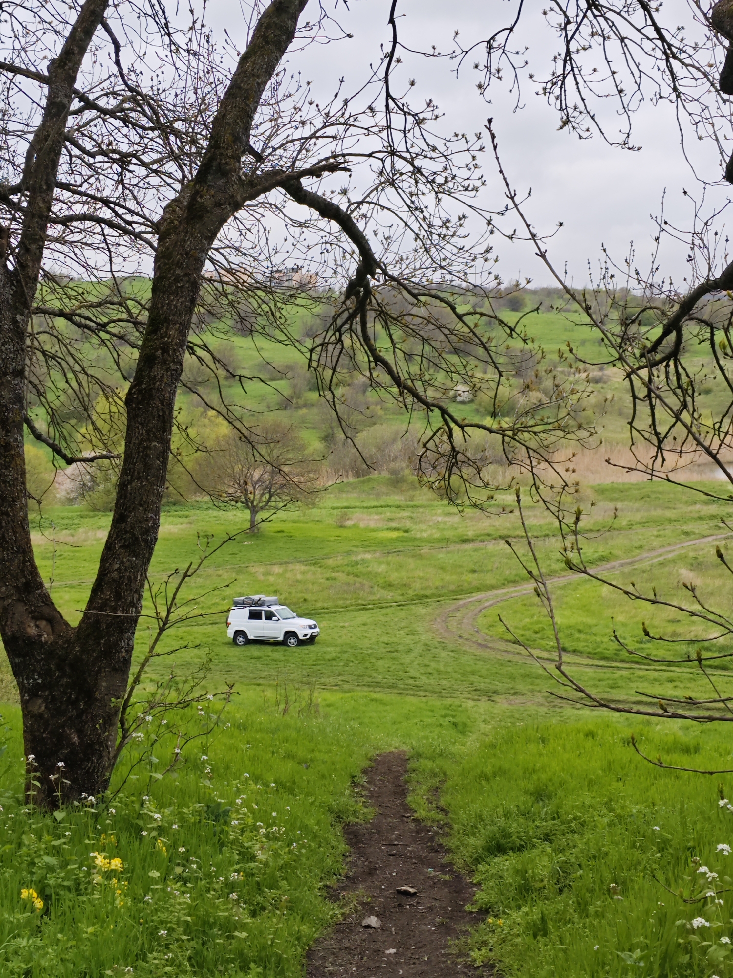 An outdoor, high-angle shot captures a serene, verdant valley in Lermontov, Russia, likely during early spring. The foreground features the dark, textured trunk and bare, budding branches of a large deciduous tree on the left, framing the scene. A narrow, winding dirt path, partially lined with small white and yellow wildflowers, leads from the bottom center into the lush green landscape below.
In the midground, a white SUV, equipped with a roof rack and gear, is parked in an expansive field of vibrant green grass, suggesting an off-road adventure or a stop during a journey. Another faint dirt track curves through the grass to the right of the vehicle. Scattered smaller trees with visible buds and light green foliage dot the rolling hills throughout the valley.
The background consists of more gentle, green hills beneath an overcast, light gray sky. A distant, pale-colored building or structure is faintly discernible on a distant hilltop through the bare branches in the upper left. The scene evokes a peaceful, slightly overcast day in a rural, hilly landscape. No people are visible, and there is no visible text.