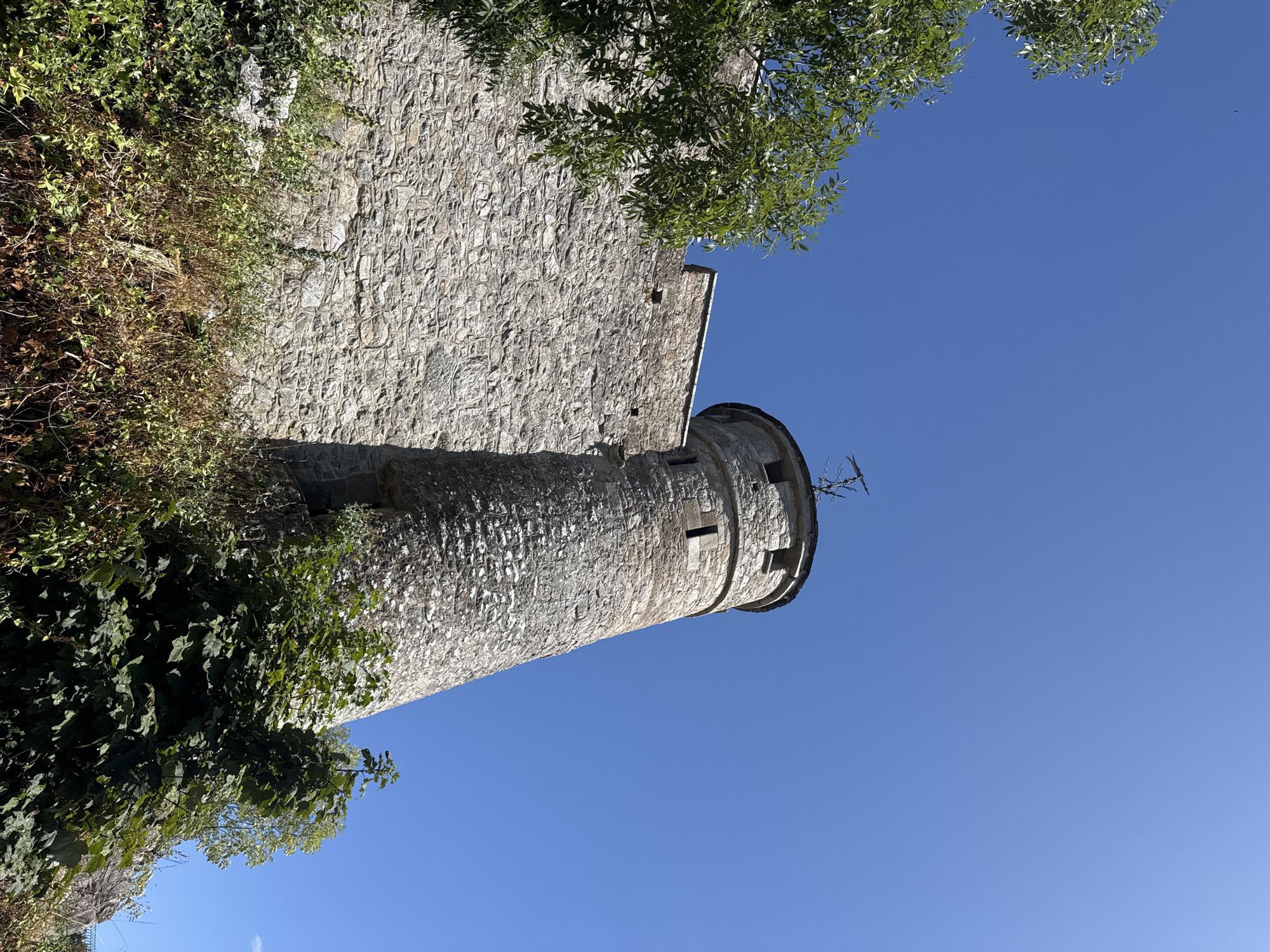 The image depicts a stone tower and a section of a stone wall against a clear blue sky. The tower is round and weathered, with a few small windows visible. A decorative weather vane sits atop the tower. The wall is made of rough-hewn stones and appears to be part of a fortification. Green foliage, including trees and bushes, grows around the base of the structures, with some dry vegetation visible as well. The perspective is from a low angle, looking upwards towards the tower and wall. This scene is consistent with the exterior of Cahir Castle in Cahir, Ireland. There are no people or animals visible in the image.