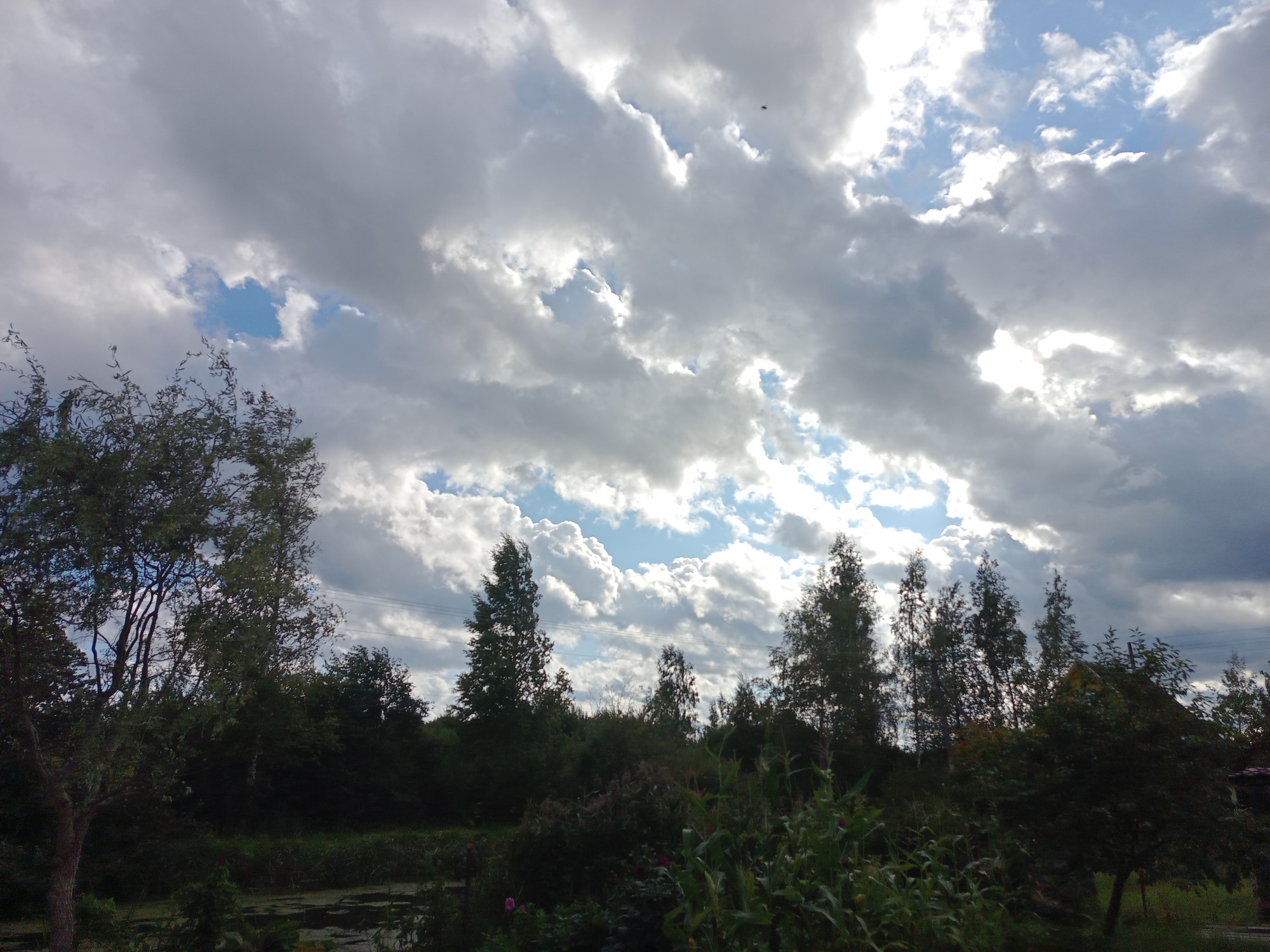 A wide-angle shot captures a rural landscape under a dramatic, cloud-filled sky. The foreground is dominated by lush greenery, including trees with dark, intricate branches on the left, and a dense line of trees and shrubs across the middle ground. In the lower left corner, a body of water with a slightly textured surface, possibly a pond or slow-moving stream, is visible. The middle ground also features tall, slender trees with foliage that appears lighter in color, interspersed with darker, denser vegetation. The background is a thick band of trees, with a hint of a building or structure on the far right. The sky is a prominent feature, with a mixture of bright white, fluffy clouds and darker, more ominous gray clouds, with patches of blue sky peeking through. The lighting suggests it is daytime, possibly late afternoon or early evening, given the contrast between light and shadow. There are no people or animals visible in the image. The scene is peaceful and natural, hinting at a location within the Лятчанскі сельскі Савет, Belarus, given the type of vegetation and the overall rural atmosphere.
