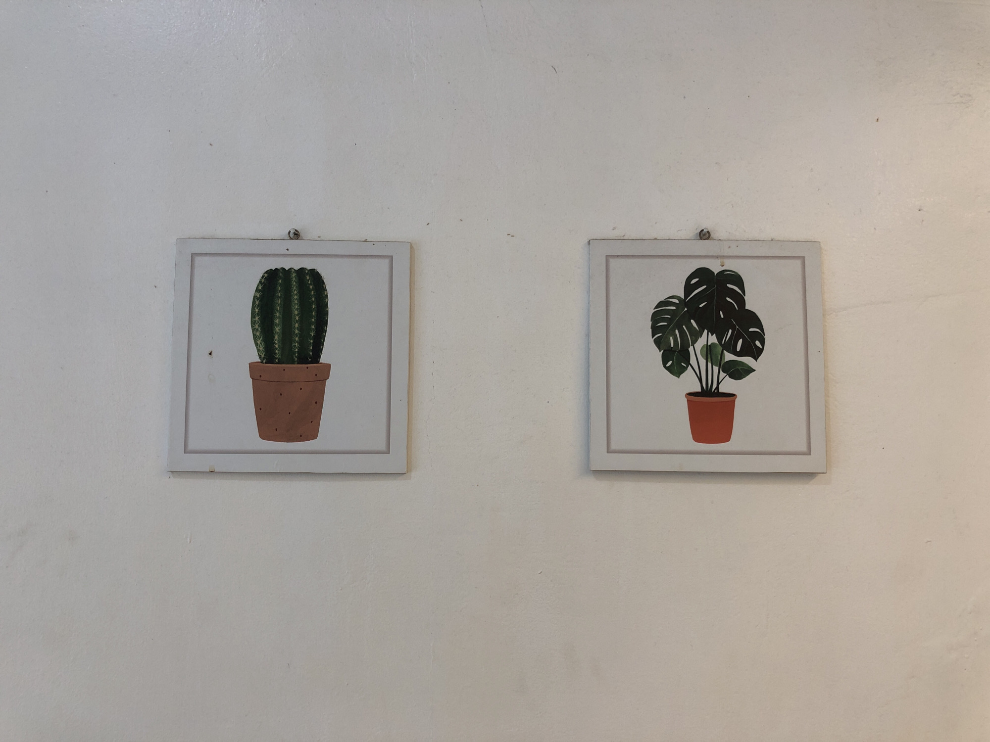 Two framed pictures hang on a white wall. The picture on the left depicts a green cactus in a brown pot, and the picture on the right shows a monstera plant with large, green leaves in a similar pot. The wall appears to be made of plaster. The scene is set indoors. This image does not provide information to determine the location is Lhokseumawe, Indonesia.