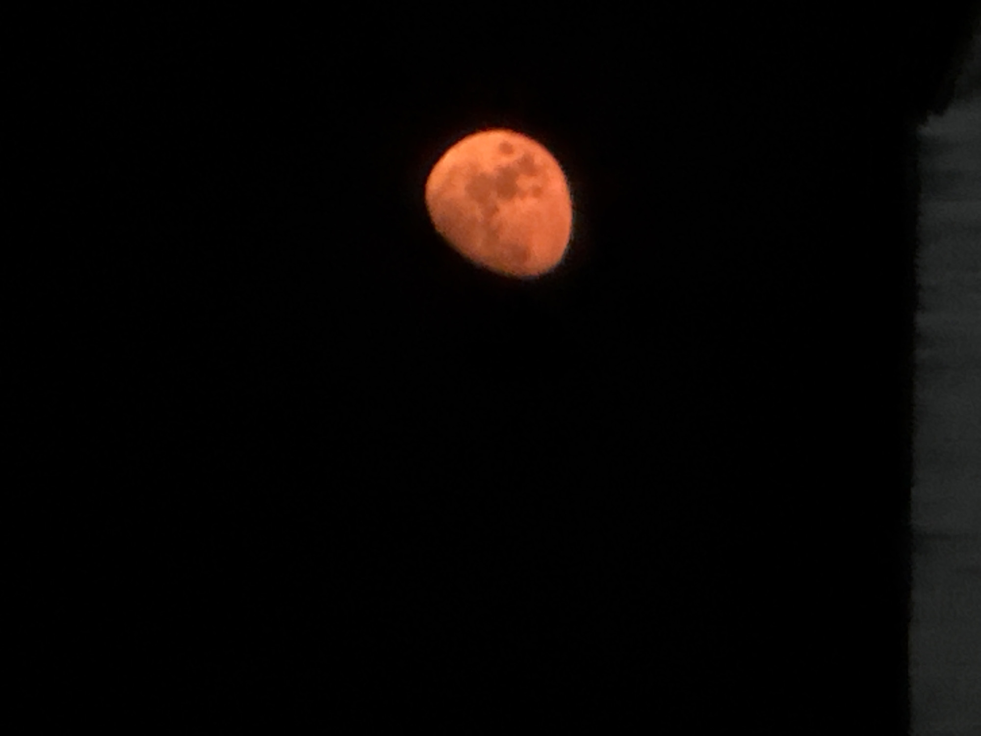 An orange moon is set against a black sky. A gray, blurred object is in the right side. The photo seems to be taken at night. The location is unknown.