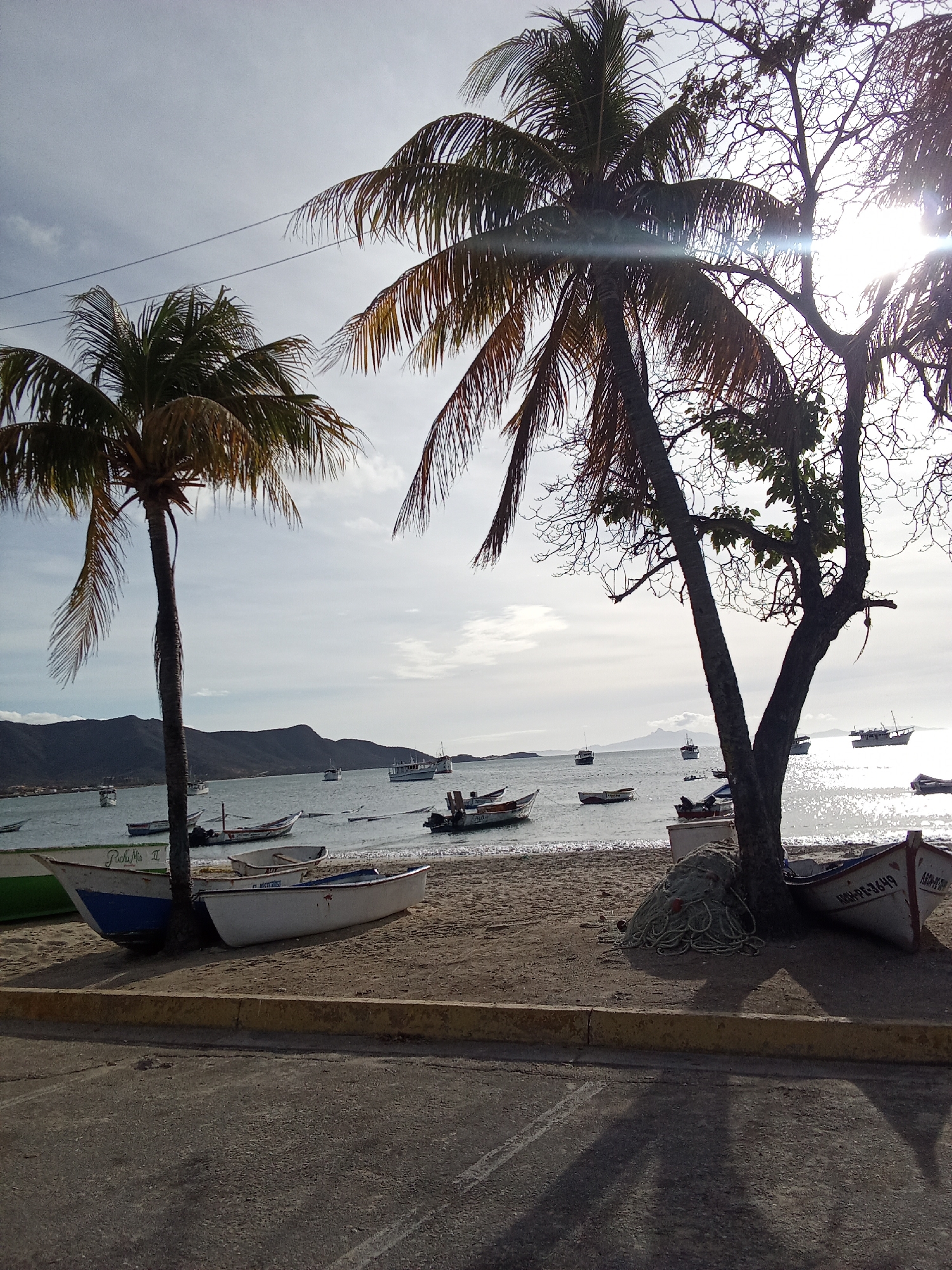 This is a daytime, outdoor scene at Juan Griego, Venezuela. The foreground consists of an asphalt parking area and a yellow curb, with several small, wooden fishing boats resting on the sandy beach just beyond. The boats are various colors, including blue, white, and green, some bearing names or registration numbers.
Palm trees and another leafy tree are scattered along the beach, providing some shade. In the background, there is a body of water populated with more boats and a hazy mountain range in the distance. The sky is overcast, and the sun is shining through the trees, creating a glare.
