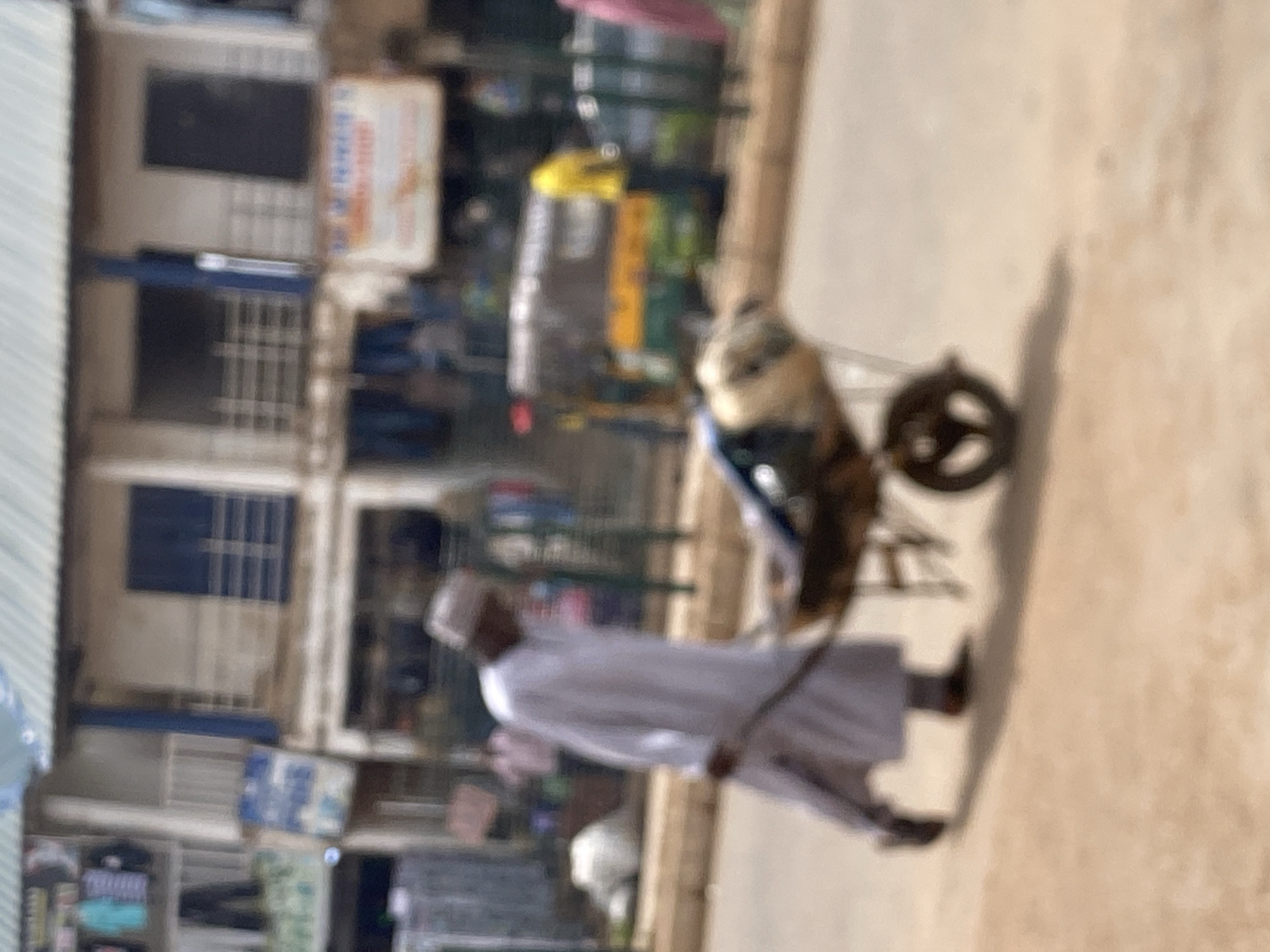 A blurred, medium shot captures a person from the side, walking to the left, pulling a wheelbarrow. The person is wearing a long, white robe and a light-colored skullcap. Their feet are clad in dark shoes. The wheelbarrow contains a large, light-colored, possibly sack-like object and a dark, irregular mass. The ground is a dusty, brownish-tan color. In the background, a street scene unfolds with a multi-story building. The building has a light-colored, corrugated metal roof and what appear to be balconies with railings on the second floor. The facade features dark-colored window frames and openings. To the left of the main building, there's an area with clothing items hanging, possibly in a shop. A sign with blue and white lettering is visible. Further in the background, a yellow and green vehicle, possibly a tuk-tuk or auto-rickshaw, is parked. The environment suggests an urban setting in Bukuru, Nigeria, with the overall image quality being low due to blurriness.