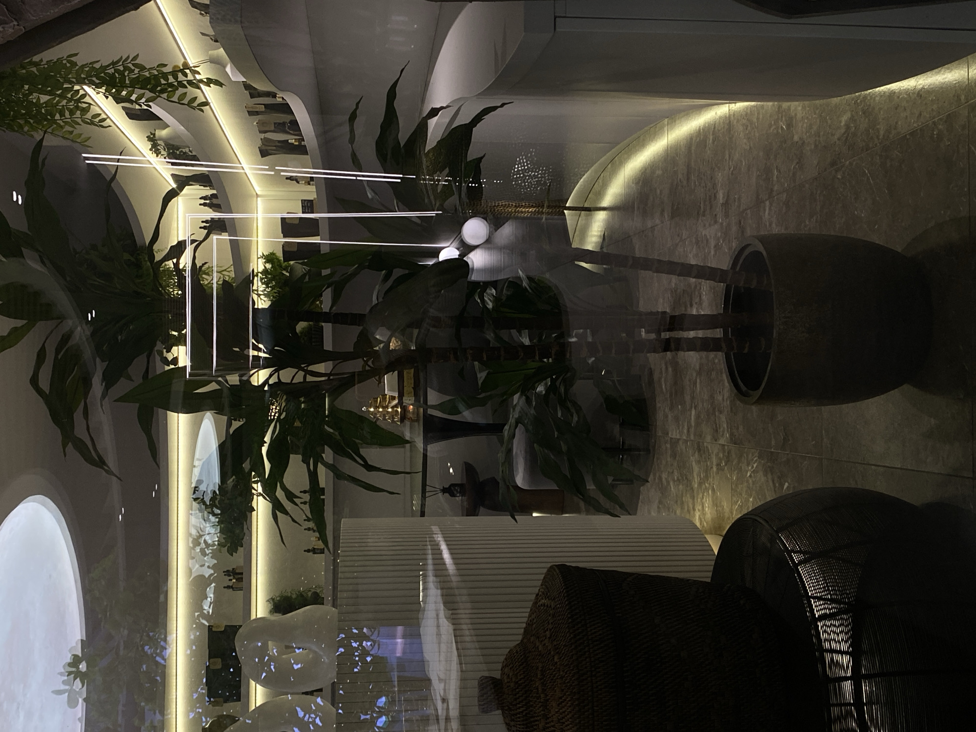 The image shows an indoor scene, possibly a store or showroom, as viewed through a window. A large plant in a pot dominates the foreground, with its leaves partially obscuring the view. The interior behind the glass features a modern design with illuminated shelves displaying various items, along with abstract white sculptures. The background exhibits curved walls and indirect lighting, creating a sophisticated atmosphere. Additionally, wicker furniture is discernible in the lower part of the image. There is no information in the image that identifies it to be in Votkinsk, Russia.