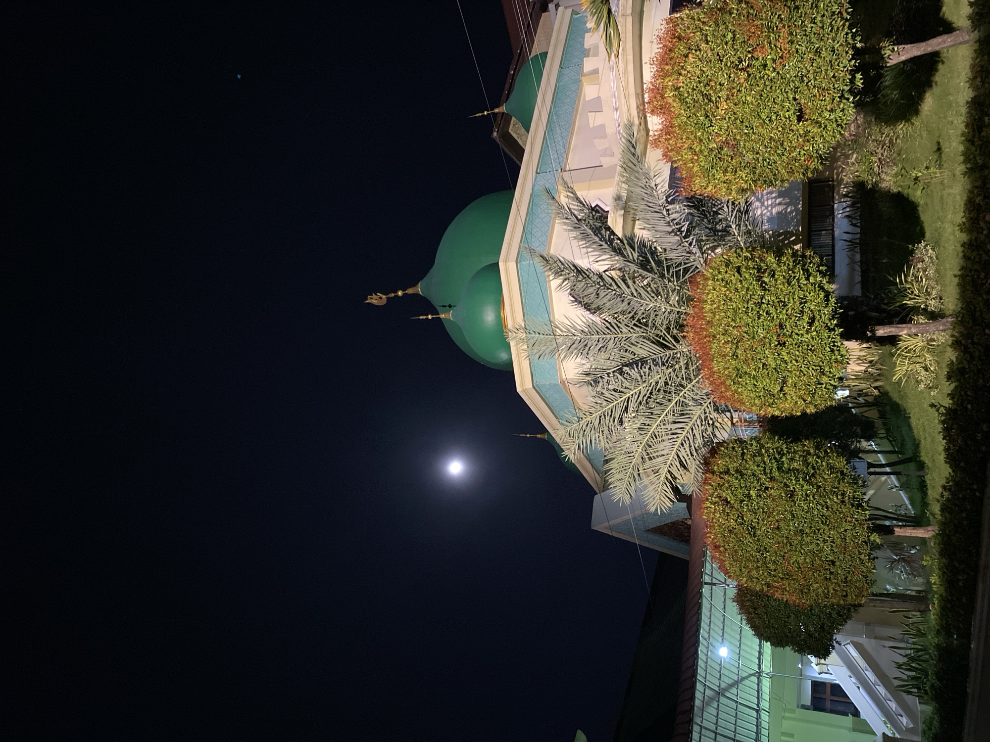 The image displays a mosque with a prominent green dome, illuminated at night. The mosque's architecture features light-colored walls with blue decorative trim. Several well-maintained, rounded bushes with reddish-green foliage are situated in front of the building, along with a palm tree. The background is a dark night sky, with a bright moon visible. The scene appears serene and peaceful, typical of a quiet evening. The location is identified as Banda Aceh, Indonesia, suggesting the architectural style might be influenced by local traditions. There is no visible text in the image.