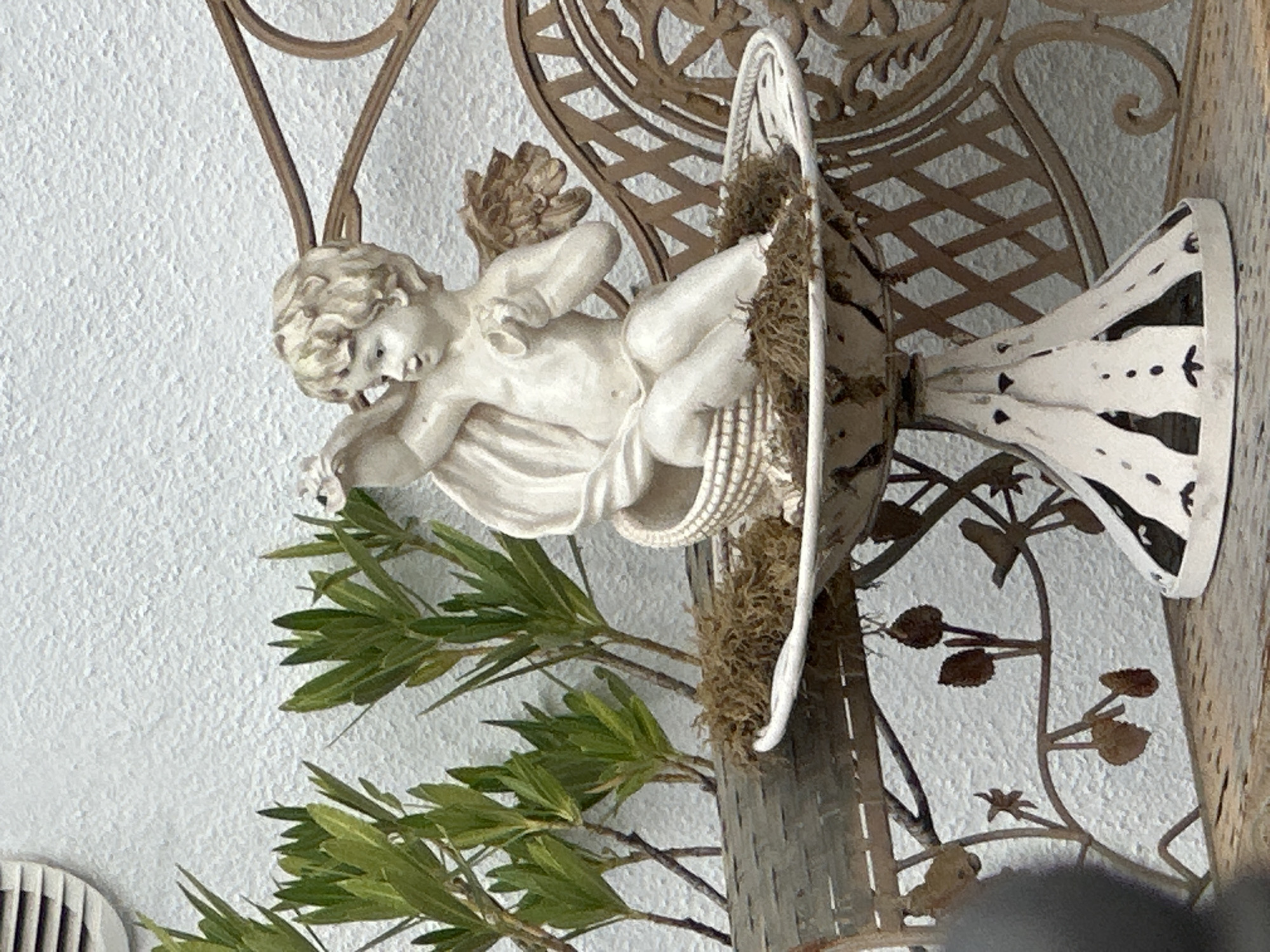 The image depicts an outdoor scene, likely a garden or patio. In the foreground, a light-colored ceramic cherub figurine sits in a basket within a decorative pedestal. The cherub is rendered with curled hair, wings, and is holding something in its hands. The basket and pedestal are adorned with intricate details and appear to be made of a weathered material. Surrounding the figurine are clumps of brown, moss-like material.
Behind the cherub, a light-colored, textured wall serves as the backdrop. To the left, several green plants with slender stems and pointed leaves are visible, some emerging from what appears to be a log or textured surface. To the right of the cherub, a section of a wrought-iron bench or fence is present, characterized by ornate scrollwork and a lattice pattern.
The overall lighting suggests it is daytime, with some shadows indicating the direction of the light source. There are no people visible in the image. The scene conveys a sense of decorative outdoor embellishment. The location of this scene within the city of Günzburg, Germany, is not discernible from the visual information provided in the image.
