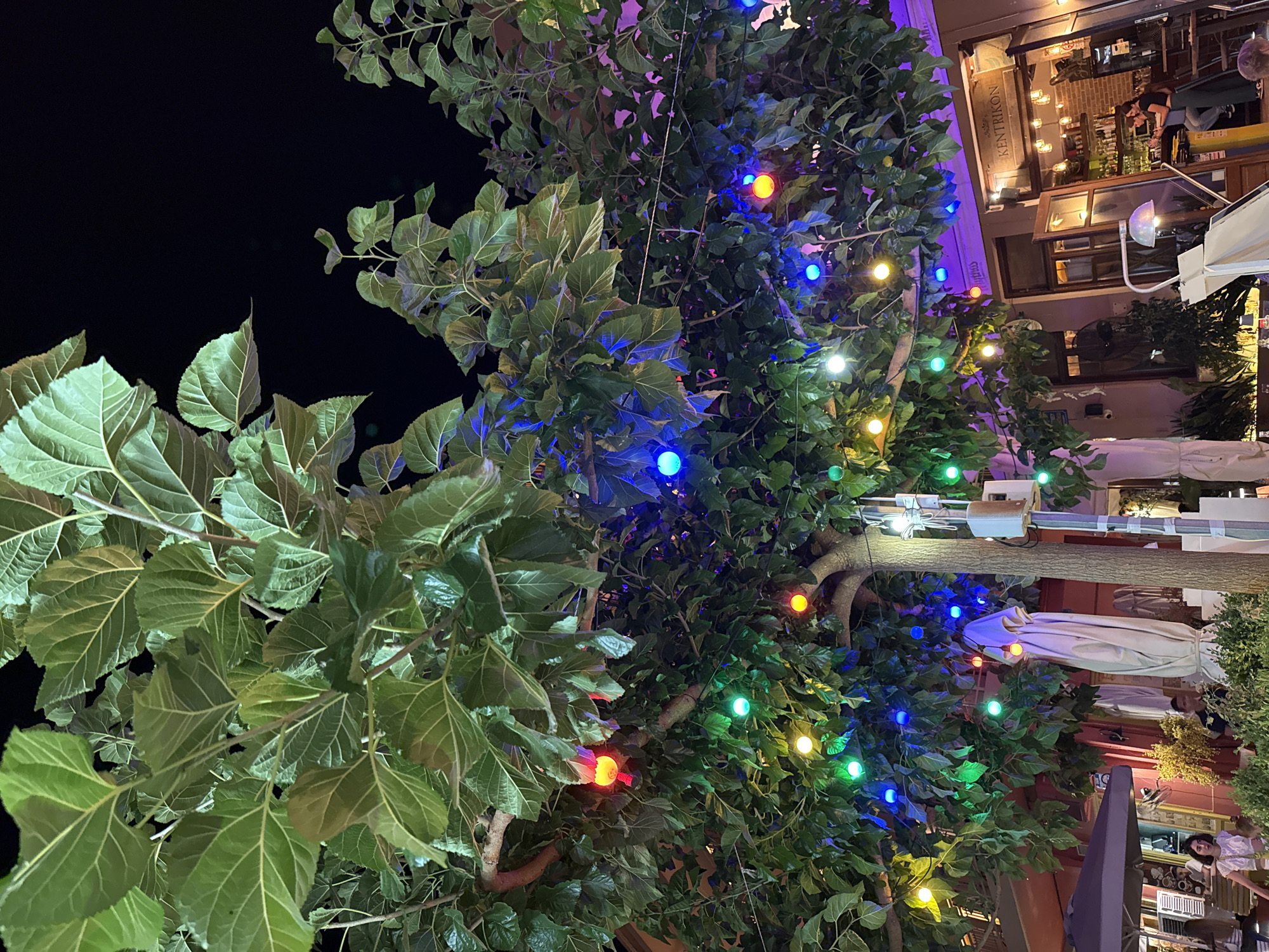 The image captures a vibrant night scene in Chania, Greece, focusing on a large tree adorned with colorful string lights. The lights, in shades of red, yellow, green, and blue, are interspersed among the dense green foliage of the tree. Below the tree, a charming street-level establishment is visible, identified by the signage "KENTRIKON" above an open doorway. Inside the establishment, patrons are seated at a bar, suggesting a lively atmosphere. The scene is set at night, with the dark sky providing a stark contrast to the illuminated tree and the warm interior lighting of the shop. Umbrellas and outdoor seating areas are also visible, hinting at a typical Mediterranean outdoor dining or café setting. The overall impression is one of a festive and inviting urban evening ambiance.