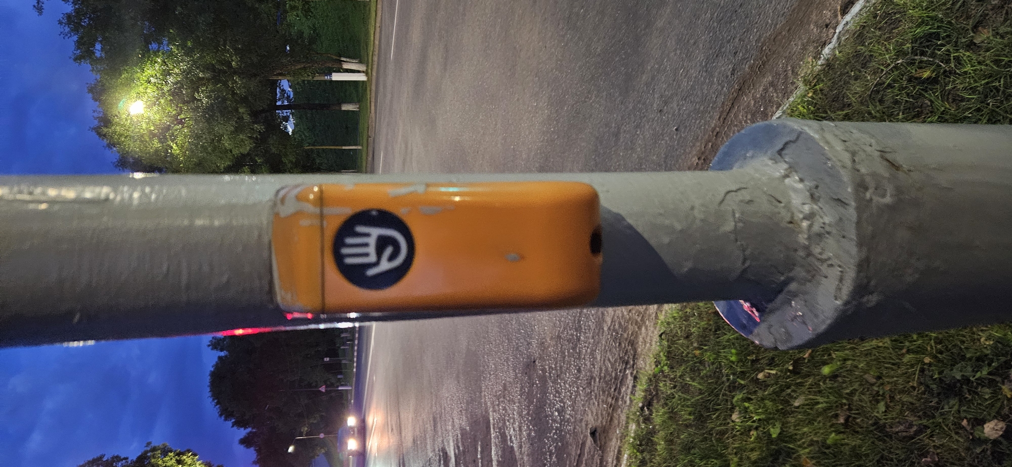 A close-up, eye-level vertical shot shows a grey pole with an orange pedestrian crossing button attached. The button has a black circular emblem with a white hand icon. The background is a street at dusk, with wet asphalt reflecting streetlights, trees, and a dark blue sky. A car with its headlights on is visible in the distance on the left side of the image, suggesting the location is a road in the city of Vitsebsk, Belarus, possibly near a pedestrian crossing. The grass on the side of the road is visible in the foreground.