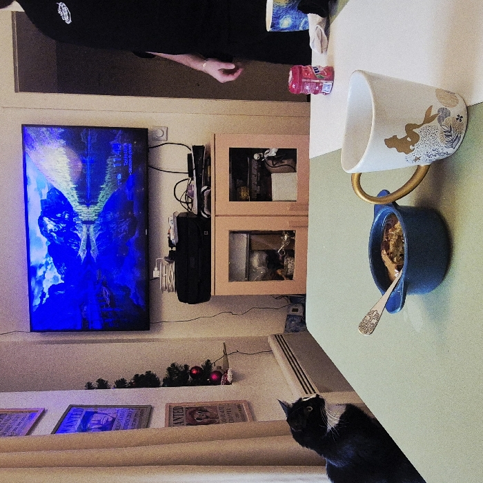 An indoor scene depicts a domestic setting, likely a living or dining area, in Strasbourg, France. The foreground features a light green table surface, partially covered by a white section on the right. On the table, a small blue ear-handled bowl contains a dark, textured food item, with a silver spoon resting within. Adjacent to it is a white ceramic mug with a gold handle, adorned with a golden silhouette of a mermaid and intricate patterns. To the right, a red cylindrical container labeled "MENTOS NOWMINT" stands next to a partially visible blue and white patterned mug resembling *The Starry Night*. A dark fabric item lies near this second mug.
On the left side of the table, a black and white cat with green eyes sits, intently gazing at the blue bowl. In the background, a flat-screen television is mounted on a light-colored wall, displaying a vivid blue and green landscape of mountains, a lake, and trees, with the time "11:46" and date "Samedi 28 Janvier" (Saturday, January 28th) visible on the screen. Below the TV, a light wooden cabinet with two glass-fronted doors holds electronic devices, including a black printer, a white game controller, and various cables.
To the left of the TV, three vertically aligned framed "Wanted" posters, depicting characters from *One Piece*, are mounted on the wall. Below them, a small artificial Christmas tree decorated with two red baubles rests on a white shelf above a white horizontal radiator. Light beige curtains hang on the far left. On the right side of the image, the torso and upper leg of an individual wearing a black shirt with a white logo and black pants are visible, with a bracelet on their right wrist. A dark doorway is present behind this person. Multiple cables run down the wall from the TV and cabinet.