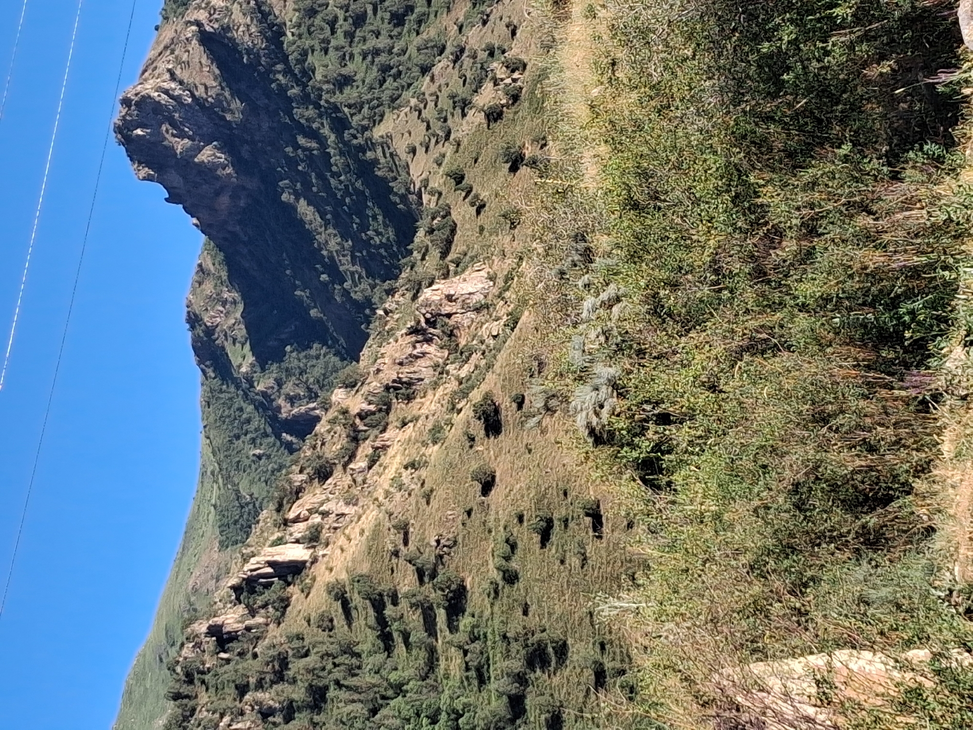 The image depicts a steep, rocky mountainside covered in sparse vegetation and trees. The terrain is rugged, with large rock formations and patches of dry grass and shrubs. In the distance, the mountain slopes are densely forested with green trees. The sky is a clear, bright blue, suggesting a sunny day. The lighting indicates it is daytime.
The image has a vertical orientation, with a power line visible in the upper left corner, stretching diagonally across the blue sky. The texture of the mountainside is rough and uneven, with shadows cast by the uneven terrain and vegetation. There are no people or animals visible in the image. The overall impression is of a natural, wild landscape.
The scene appears to be a remote, mountainous area. The clear blue sky and bright sunlight suggest fair weather. The rocky, vegetated slope and the presence of power lines might indicate proximity to a rural area or a hiking trail. The lack of any specific structures or landmarks makes it difficult to pinpoint the exact location beyond the general mountainous setting. No text is visible in the image.