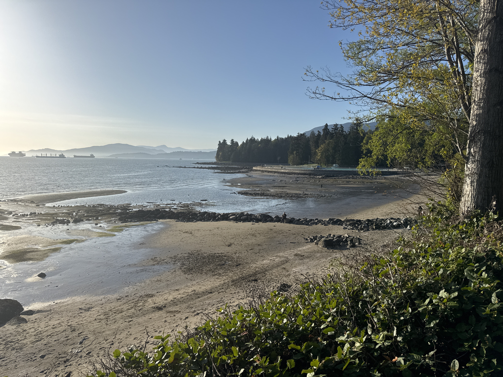 The image shows a beach scene at low tide in Vancouver, Canada, likely along Stanley Park's coastline. In the foreground are green bushes and a tree trunk. Moving towards the sea, there is a sandy beach interspersed with rocky patches and pools of water. Further out, the low tide reveals an extensive mudflat area with several breakwaters constructed of large rocks. In the mid-ground, a line of trees separates the beach from a grassy area where people appear to be walking. In the background, there are mountains and ships are visible on the water. The sky is clear and blue.
