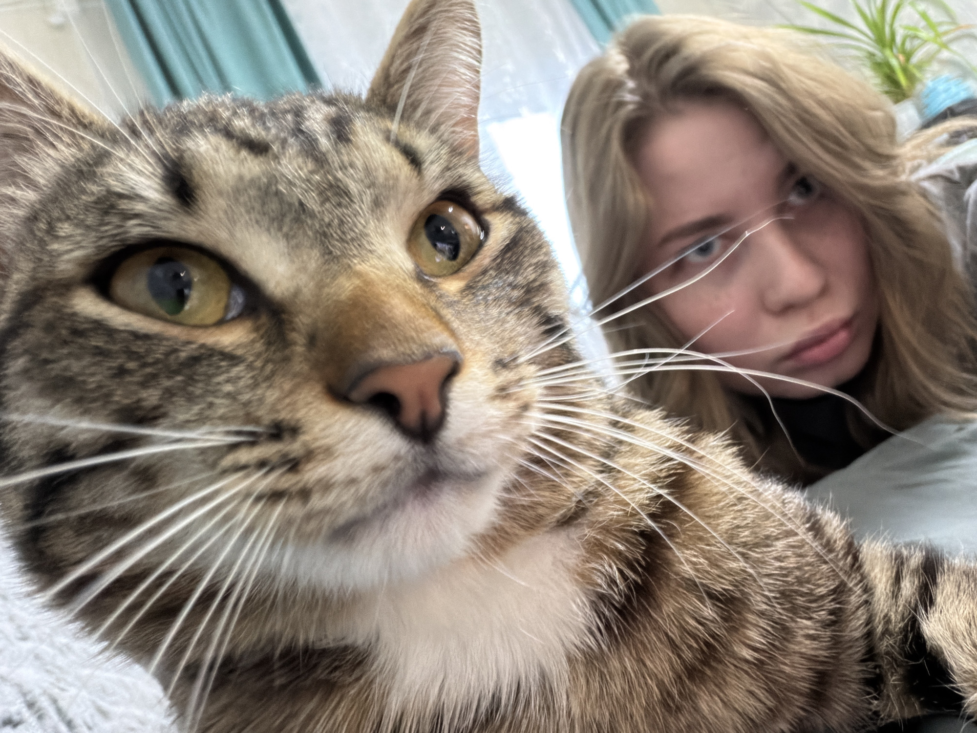 A close-up selfie features a tabby cat in sharp focus with a human, presumably the photographer, appearing blurred in the background. The cat's face dominates the foreground, showing its fur pattern, whiskers, and eyes. The person behind has blonde hair and light skin. The background includes a plant. There is no way to tell if this image was taken in Большой Букор, Russia.