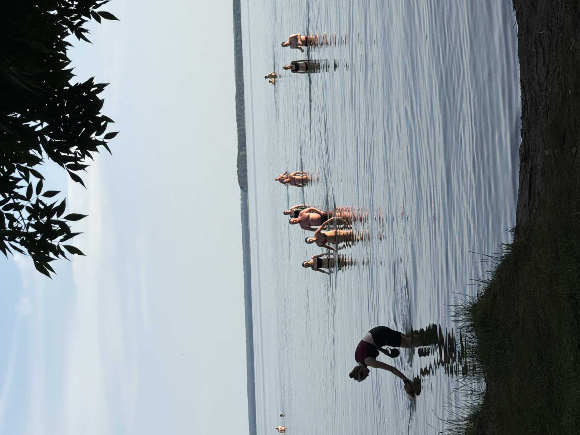 A group of people are wading in a calm body of water, with a tree branch silhouetted in the foreground at the top of the image. The water is a light blue, reflecting the clear sky. The horizon is lined with a distant treeline. In the foreground, a woman in a maroon sports bra and black shorts is bending down, reaching into the water with her right hand, holding what appears to be a small, light-colored object. She is facing away from the viewer. Behind her, several other people are standing or wading further out in the water. Some are in swimwear. The water is shallow enough for them to be standing. The overall scene suggests a leisurely activity in a natural outdoor setting.
