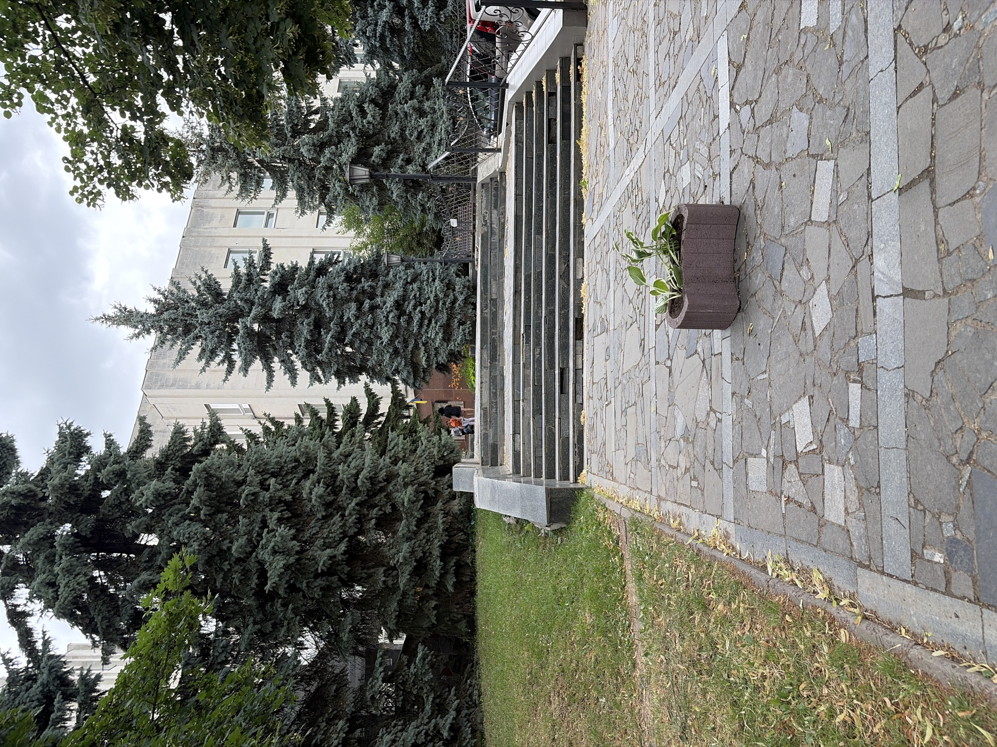 The image captures an outdoor scene in Chernihiv, Ukraine, featuring a wide stone staircase leading up to a building. Several tall evergreen trees frame the staircase and the building's facade. The building appears to be an institutional or administrative structure with a light-colored, possibly concrete, exterior and visible windows. The ground in front of the stairs is paved with irregular stone tiles. A small planter with a few green plants sits on the paved area. To the left of the stairs, a patch of green grass slopes upwards. Several people are visible at the top of the stairs near the entrance, appearing to be casually standing. The sky is overcast. The overall impression is one of a public space with architectural elements and natural greenery.
