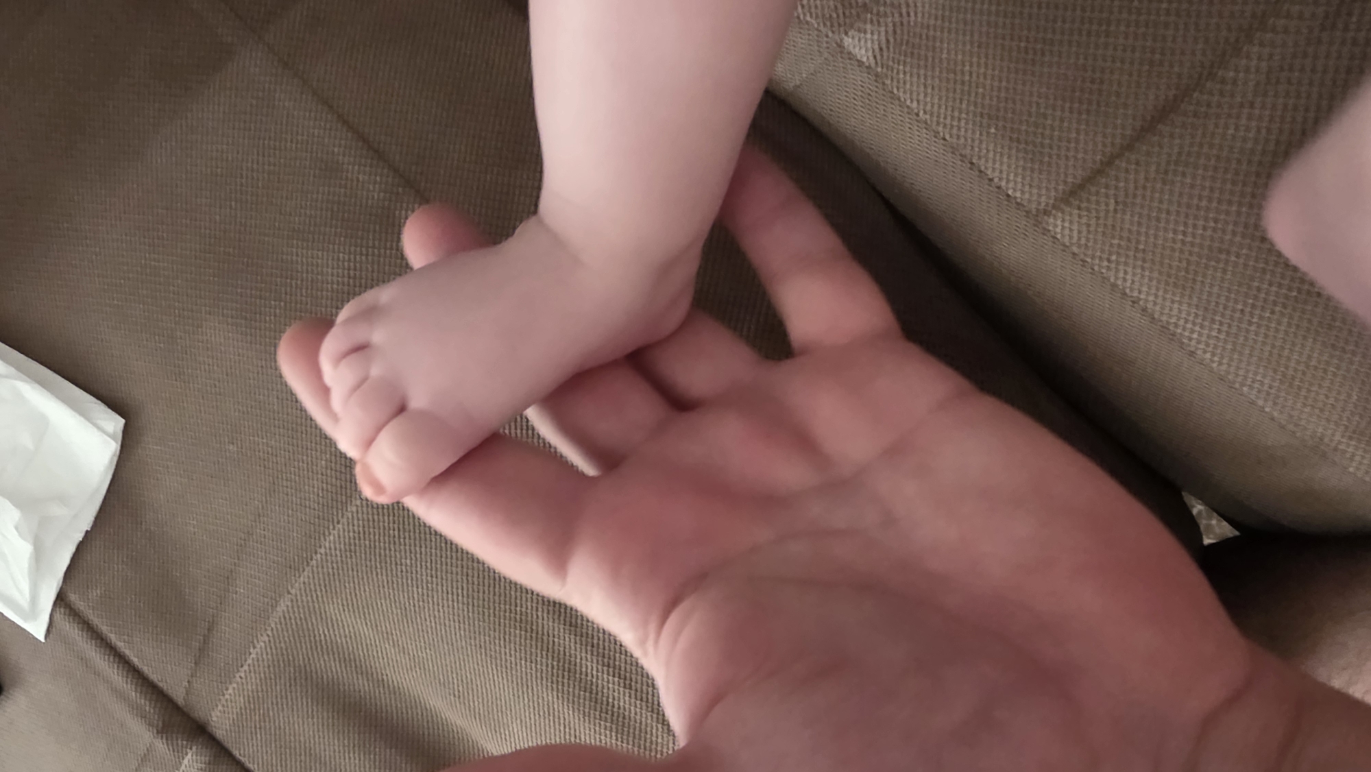 A close-up shot shows a baby's foot resting in an adult's hand, set against a brown textured surface. A white tissue is visible in the lower left corner. The image doesn't provide enough details to determine a specific location in Blagoevgrad, Bulgaria, or any particular action or interaction beyond the static placement of the foot in the hand.