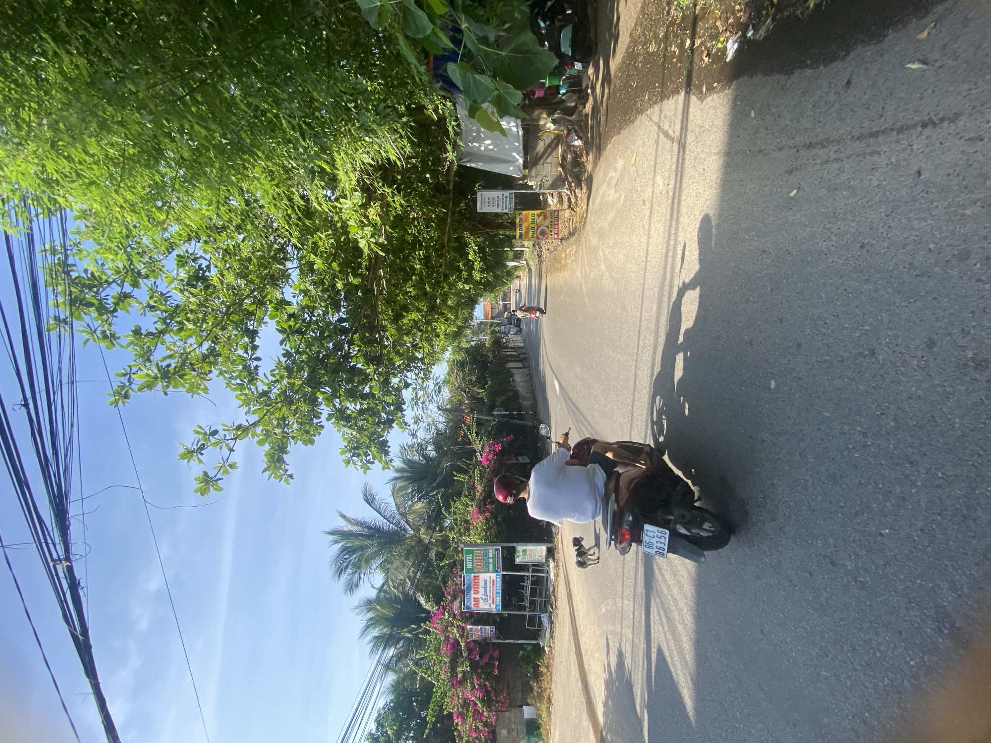 In Mũi Né, Vietnam, on a sunny day, a person wearing a white t-shirt and a red helmet rides a red scooter down a paved road. A small, dark-colored dog walks on the left side of the road. The road is lined with trees and buildings on both sides. On the left side, there are several signs, including one for "AN VINH HOMESTAY HOTEL" and another for "HOANG LAI HOTEL". The sky is blue with some clouds, and power lines are visible overhead. Lush green foliage and pink flowers adorn the sides of the road, indicating a tropical or subtropical environment.