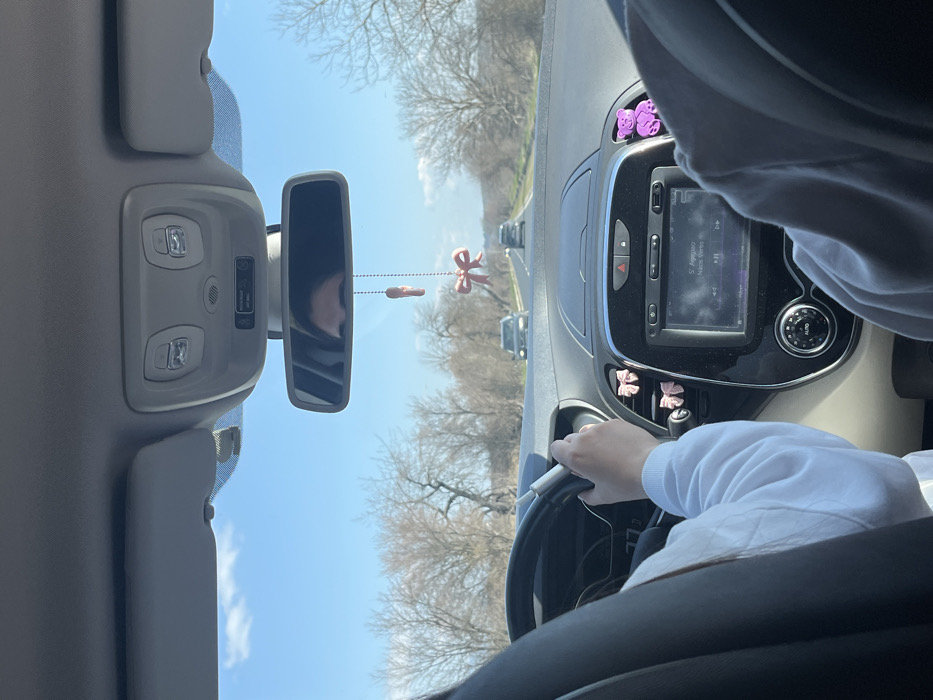 The scene depicts the interior of a vehicle, looking forward through the windshield onto a rural road near the city of Viden, Bulgaria, under a clear blue sky. A person, identified as the driver, is partially visible on the left, wearing a white long-sleeved top and holding the steering wheel with their right hand. Their eyes are reflected in the rearview mirror. Another person, a passenger, is partially visible on the right.
The car's dashboard features a central entertainment screen displaying text "S. Agapao" and "Nikos Vertis." Air vents on the left side of the dashboard are adorned with two pink bow-shaped decorations, while an air vent on the right side holds a purple bear-shaped air freshener. A small pink ballet shoe and a pink bow ornament hang from the rearview mirror. The overhead console contains lights and a passenger airbag indicator.
Outside the vehicle, a two-lane asphalt road stretches into the distance. Bare trees line both sides of the road, suggesting a late winter or early spring setting. Two cars are visible ahead on the road, traveling in the same direction. The surrounding landscape includes gentle hills under the clear sky.