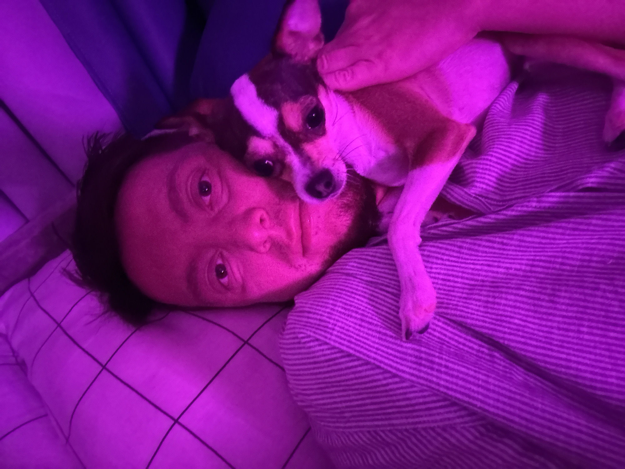 A person is lying down, holding a small dog. The scene is illuminated by purple light, suggesting it may be nighttime or a room with colored lighting. The person's face is partially visible, looking upwards. The dog is nestled against the person. They are on a surface covered by a patterned fabric, possibly a blanket or bedding. The environment appears to be indoors. The location of Мирный, Russia is not discernible from the image.