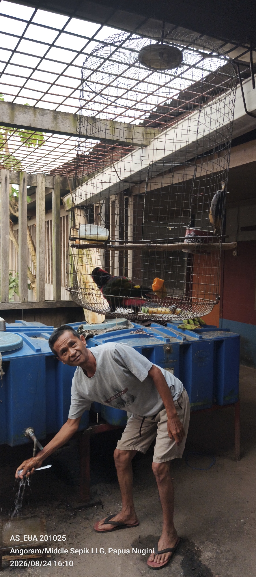 A man is rinsing a spoon under a faucet, positioned next to a large blue water tank. He is wearing a light gray t-shirt and tan shorts. Behind him, a large birdcage hangs from an overhead structure. Inside the cage, two birds are visible; one is black and red with green accents, and another is perched on a branch. The environment appears to be an outdoor, semi-covered area, with wooden structures and a wire mesh roof visible. The scene is located in Angoram/Middle Sepik LLG, Papua Nugini.