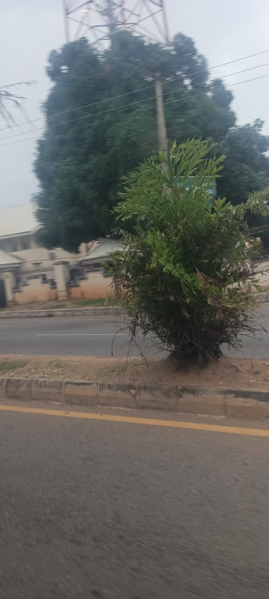 This image captures a roadside scene, likely from a moving vehicle in Jos, Nigeria, indicated by the motion blur. The foreground features a grey asphalt road with a clear yellow line marking its edge. A concrete curb separates the road from a small patch of sandy soil, where a vibrant green, bushy plant or shrub grows.
In the midground, another section of road is visible, bordered by dense green trees and a utility pole with power lines. Partially obscured by the foliage and pole are light-colored buildings with fences, suggesting a residential or commercial area.
The background is dominated by a tall, red and white metal lattice structure, which appears to be a telecommunications tower or an electricity pylon, rising against an overcast, light grey sky. The sky is uniformly bright, indicating daylight, possibly a cloudy day, as no strong shadows are cast. No people or visible text are present in the frame. The overall impression is an ordinary street view in an urban or semi-urban setting.