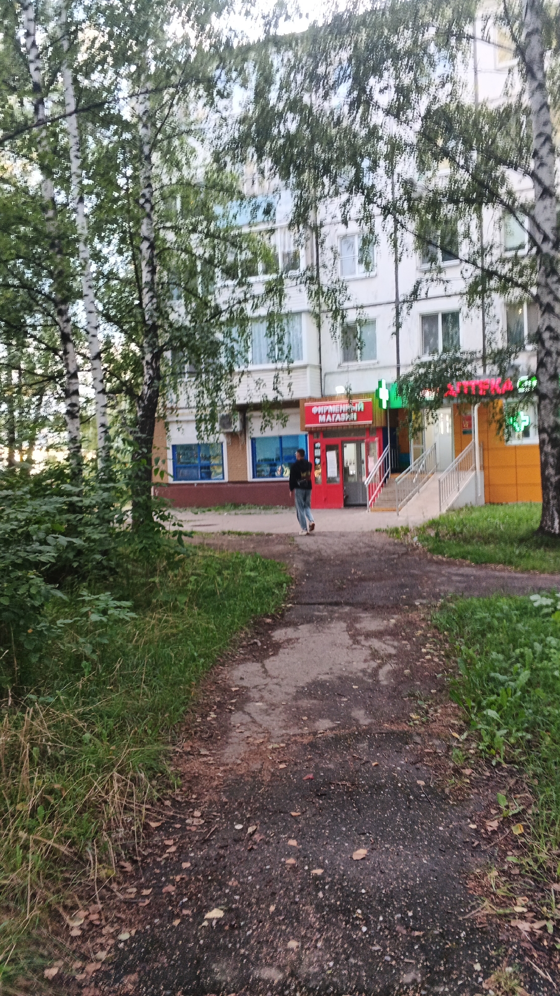 The image depicts an outdoor scene in Izhevsk, Russia, focusing on the entrance to a building. A paved walkway, with some leaves and debris scattered on it, leads towards the building. To the left of the walkway, there is an overgrown area of grass and foliage. The building itself appears to be a multi-story structure, likely an apartment building or commercial space, with several windows visible. At the ground level, there is a prominent entrance with red doors and a sign in Russian that reads "ФИРМЕННЫЙ МАГАЗИН" (Firm Store). Next to this entrance, there is another storefront, possibly an apothecary, indicated by a green cross sign and the word "АПТЕКА" (Apothecary). A person, seen from behind, is walking away from the camera on the walkway, heading towards the building's entrance. The surrounding area is lined with trees, primarily birch trees with their characteristic white bark and green leaves, suggesting a natural or semi-natural setting within the urban environment. The lighting suggests it might be late afternoon or early evening.