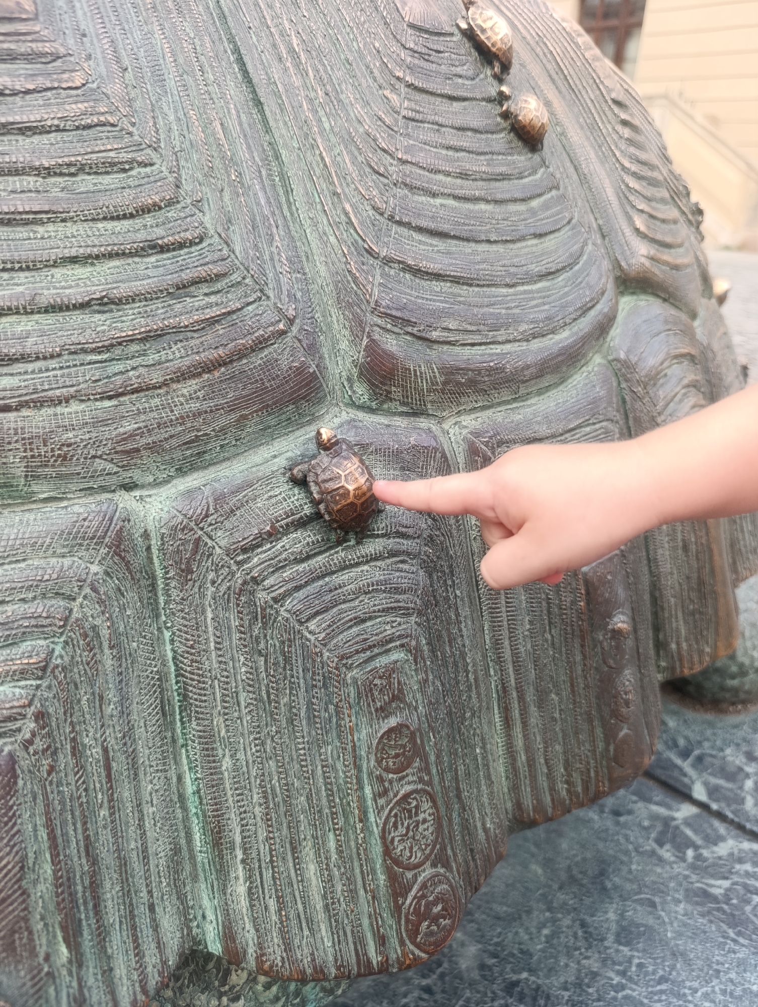 The image shows a close-up view of a bronze sculpture of a turtle's shell. A child's hand is visible on the right side of the frame, with a finger pointing towards a small, bronze turtle figurine positioned on the large turtle's shell. Several other small turtle figurines are visible further up the shell. The sculpture has a textured, aged bronze finish with green patina. The background is blurred but suggests an outdoor urban setting, likely a public space. This sculpture is located in the city of Olomouc, Czechia, and is part of the bronze turtle monument found in the Horní náměstí (Upper Square).