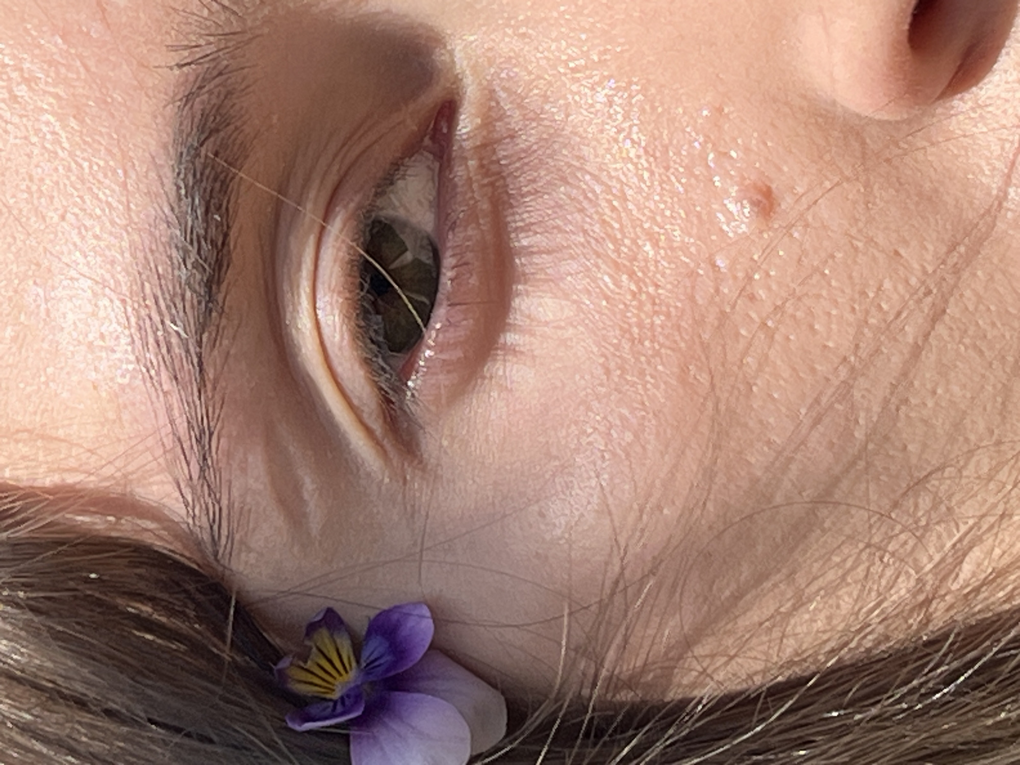 A close-up, eye-level medium shot captures a portion of a person's face, with a focus on their eye and cheek. A small, purple and yellow viola flower is tucked behind the person's ear, partially obscuring their hairline. The person's skin is visible, with fine hairs and what appears to be glitter or shimmer on the cheek. The background is out of focus, but hints of natural light suggest an outdoor setting. The image is sharp and detailed, highlighting the texture of the skin and the delicate features of the flower. The location is Unknown, Unknown.