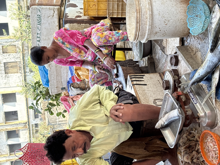 The image captures a bustling open-air fish market scene in Ulhasnagar, India. In the left foreground, a barefoot man with a mustache, wearing a light yellow long-sleeved shirt and dark shorts, sits on a low wooden crate, leaning forward with his right hand on his knee. To his right, a woman in a vibrant pink and multi-colored floral saree, adorned with gold bangles, is seated on a low bench. She is actively engaged in cleaning or cutting fish on a thick, dark wooden cutting block using a large, curved metal cleaver.
The market stall features a "New Super MIGA" brand mechanical scale on the ground, holding a single silver-colored fish in its tray. Several hexagonal weights are placed beside the scale. A large pile of small, pinkish-orange shrimp is on the ground to the left of the scale, with an additional quantity contained in an orange plastic bowl in the bottom left. More silver-colored fish are visible on the ground in the lower right, resting on what appears to be a blue tarp, next to a light blue plastic woven basket.
The immediate surroundings include a large, soiled white plastic bucket and a dark bowl on the ground. A smaller yellow plastic bucket is positioned near the woman's feet. Various crates, some stacked, are visible in the background, including one labeled "A.F.T. ANSAR." The ground surface is uneven and appears wet. In the distant background, several dilapidated, multi-story concrete buildings with visible windows and structural elements provide an urban backdrop, with some sparse green vegetation also present.