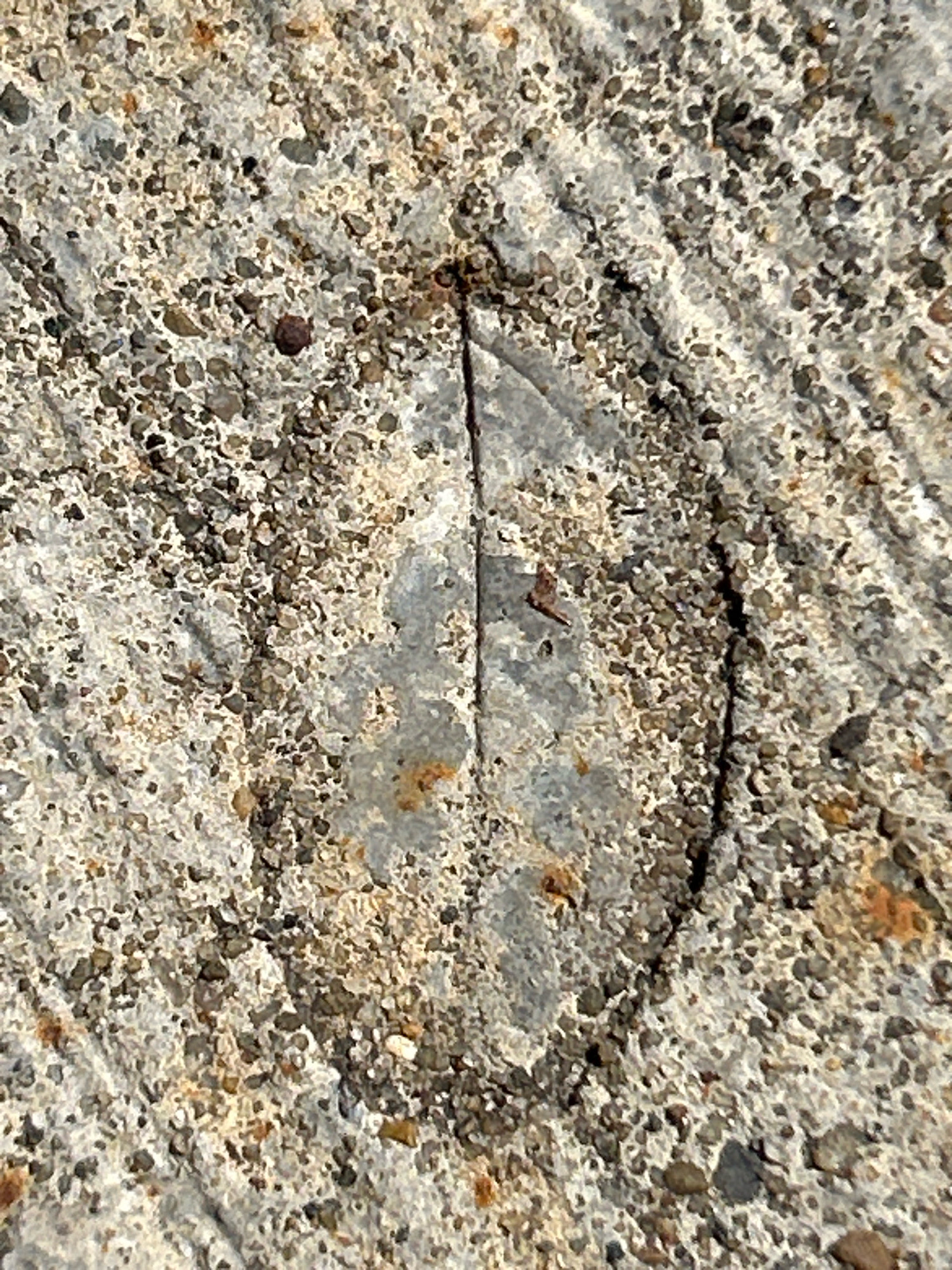 The image shows a close-up, top-down view of weathered concrete with embedded pebbles. A thin, elongated crack runs vertically down the center of the frame, dividing a smoother, slightly lighter gray area from the rougher, speckled surface of the concrete. Small fragments of rust-colored material are visible within the crack and scattered across the surface. The lighting suggests an outdoor environment, with shadows indicating the direction of illumination. The image does not contain any people, subjects, or actions. The specific location in Robinson Township, United States of America, is not visually discernible from the image itself.
