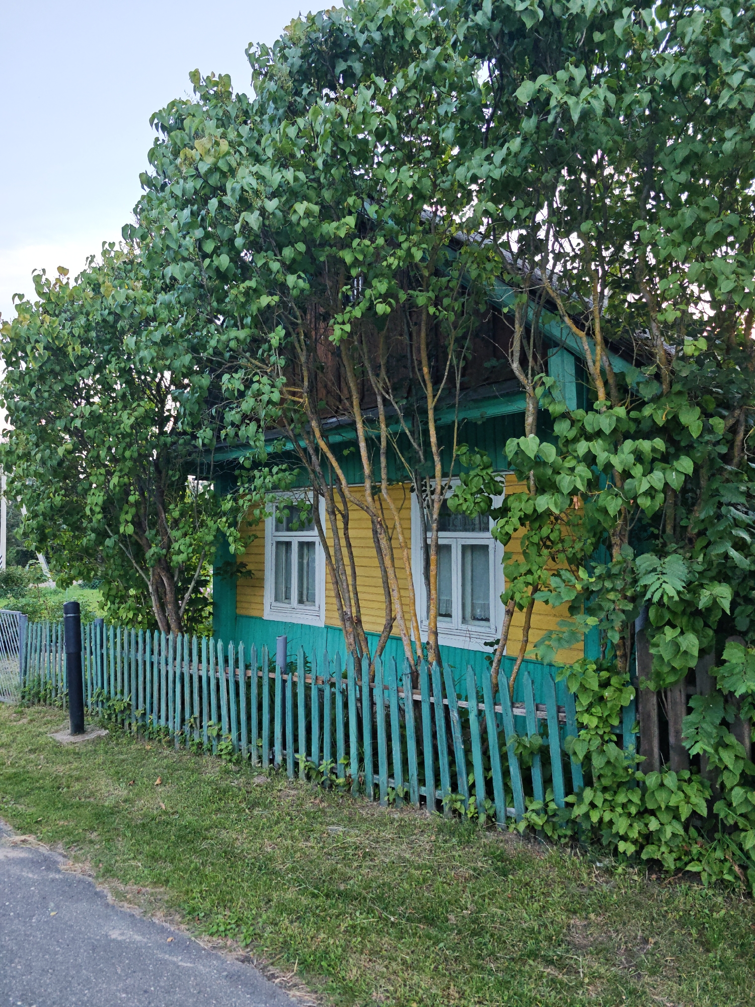 A yellow and green wooden house with two white-framed windows is partially obscured by dense green foliage. A faded teal picket fence runs along the front of the property, separating it from a grassy area and an asphalt road. The sky is a pale blue. The scene appears to be in a rural or semi-rural setting, possibly in the Валожынскі сельскі Савет region of Belarus.