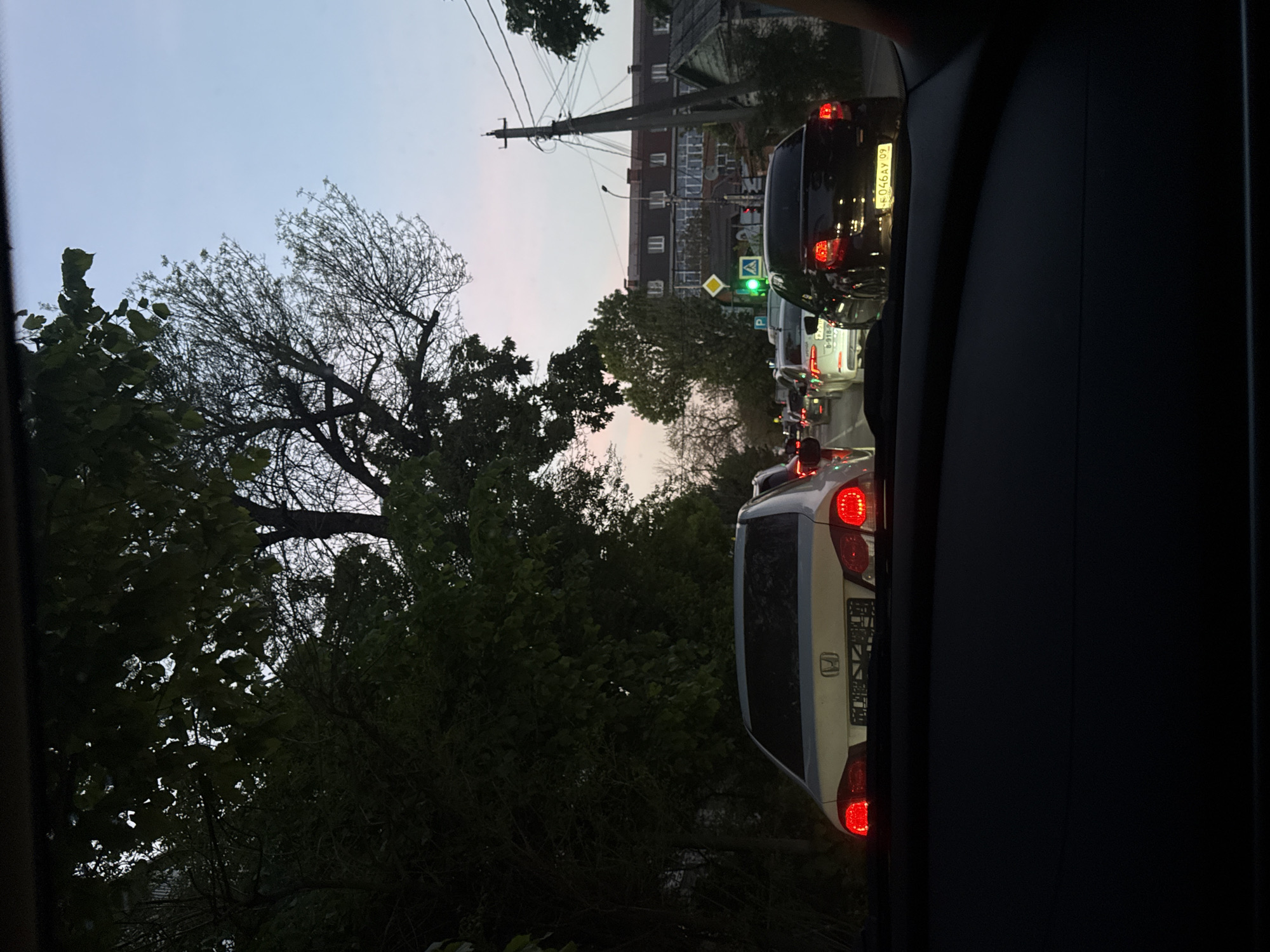 The image shows a view from inside a car looking out at a street scene. The location appears to be an urban area, with buildings and a power line visible in the background. Several cars are stopped in traffic, with taillights illuminated. The traffic signal is green. The sky suggests it is dusk or dawn. Lush trees and greenery line the side of the road. The focus is sharpest on the cars and traffic signal.