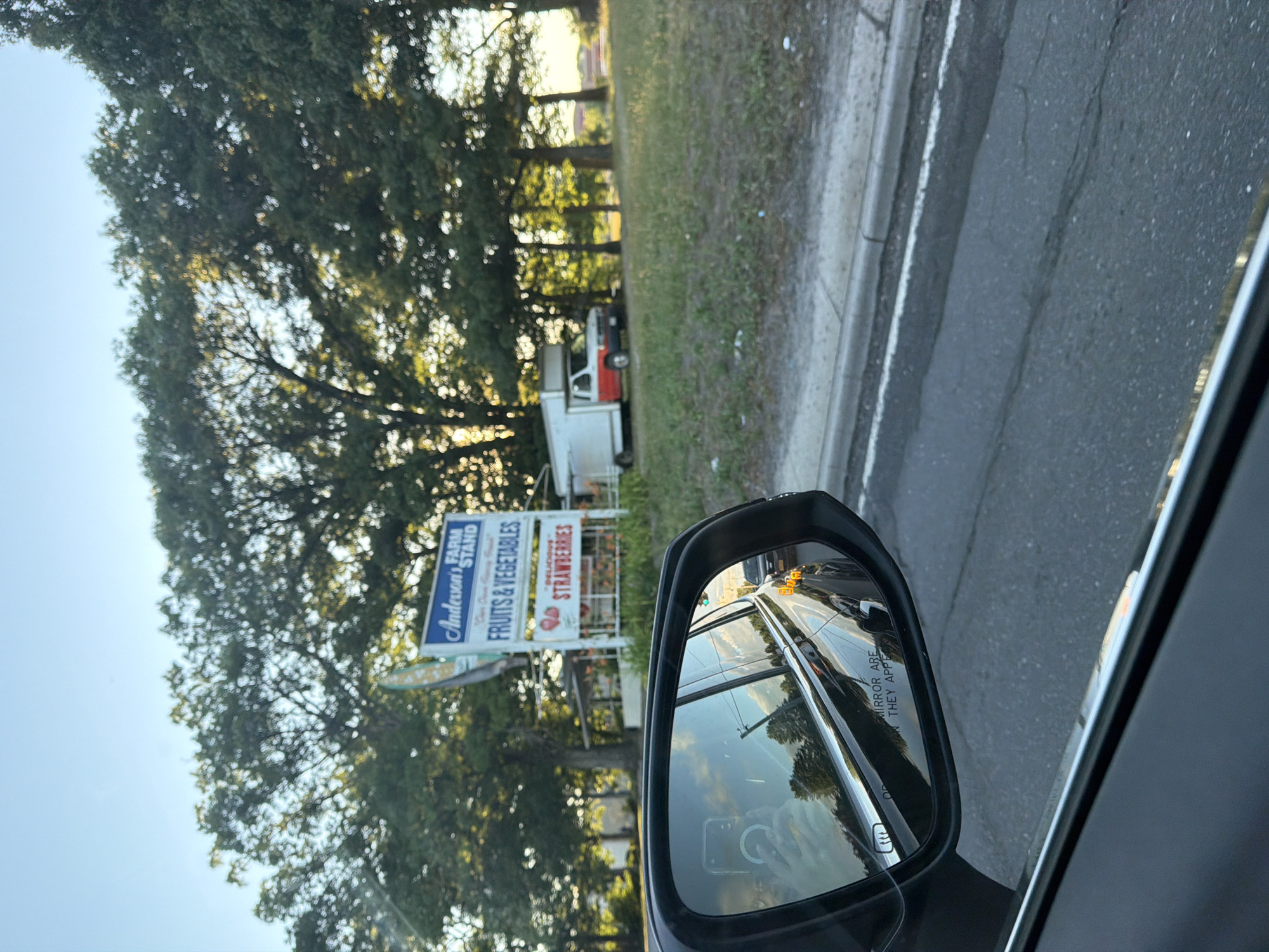 In Riverhead, United States of America, a rearview mirror of a vehicle shows a reflection of a person holding a smartphone. Outside the vehicle, a farm stand sign reads "Anderson's Farm Stand" and advertises "Fruits & Vegetables" and "Strawberries." A white truck with a red cab is parked near the farm stand. The scene is set outdoors with a backdrop of trees and a clear sky. The road in the foreground indicates the vehicle is in motion.
