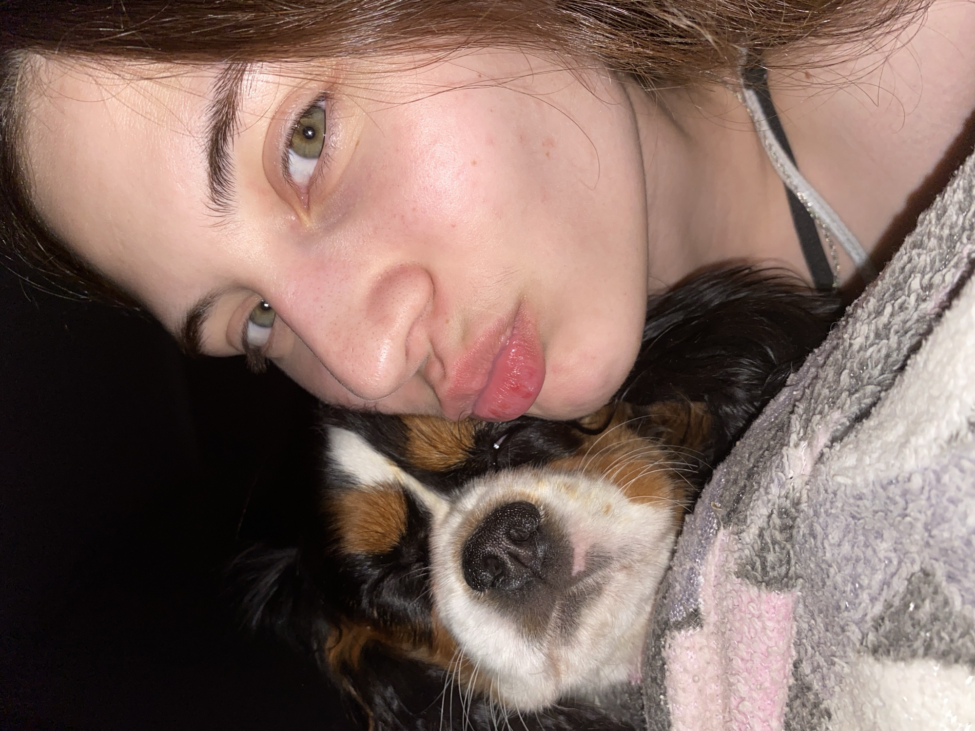 A close-up, angled shot shows a light-skinned person and a dog. The person, positioned in the upper part of the frame, has brown hair and green eyes. They are puckering their lips, as if in a kissing gesture. The dog, a Cavalier King Charles Spaniel with a black, brown, and white coat, rests its head against the person's face. The dog's nose is prominently featured, and its eyes are not visible. A gray and pink blanket is visible on the right side of the frame, partially covering the dog. A thin, sparkly strap is visible near the person's shoulder. The background is dark and indistinct. There is no indication of Votkinsk, Russia.