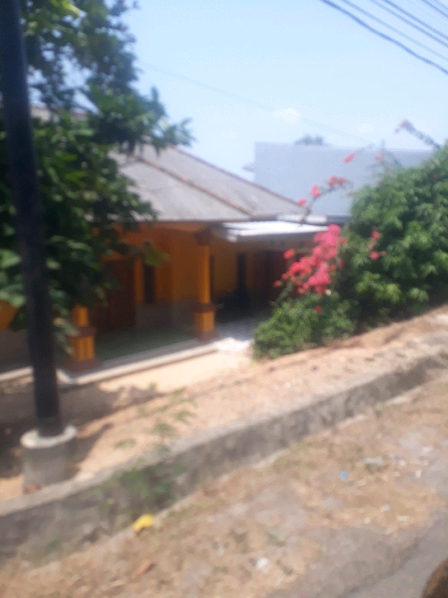 A blurry, medium shot captures a humble, single-story house with a yellow facade and a grey, sloped roof. The house is flanked by vibrant green foliage and a cluster of bright pink flowers. A dark vertical pole stands to the left of the house, and a low concrete barrier runs along the foreground. The ground is covered in dry earth and scattered debris. The scene is set against a backdrop of a pale blue sky with a few wispy clouds, and power lines are visible overhead. The overall impression is one of a residential area in the city of Pangkalpinang, Indonesia, bathed in daylight.