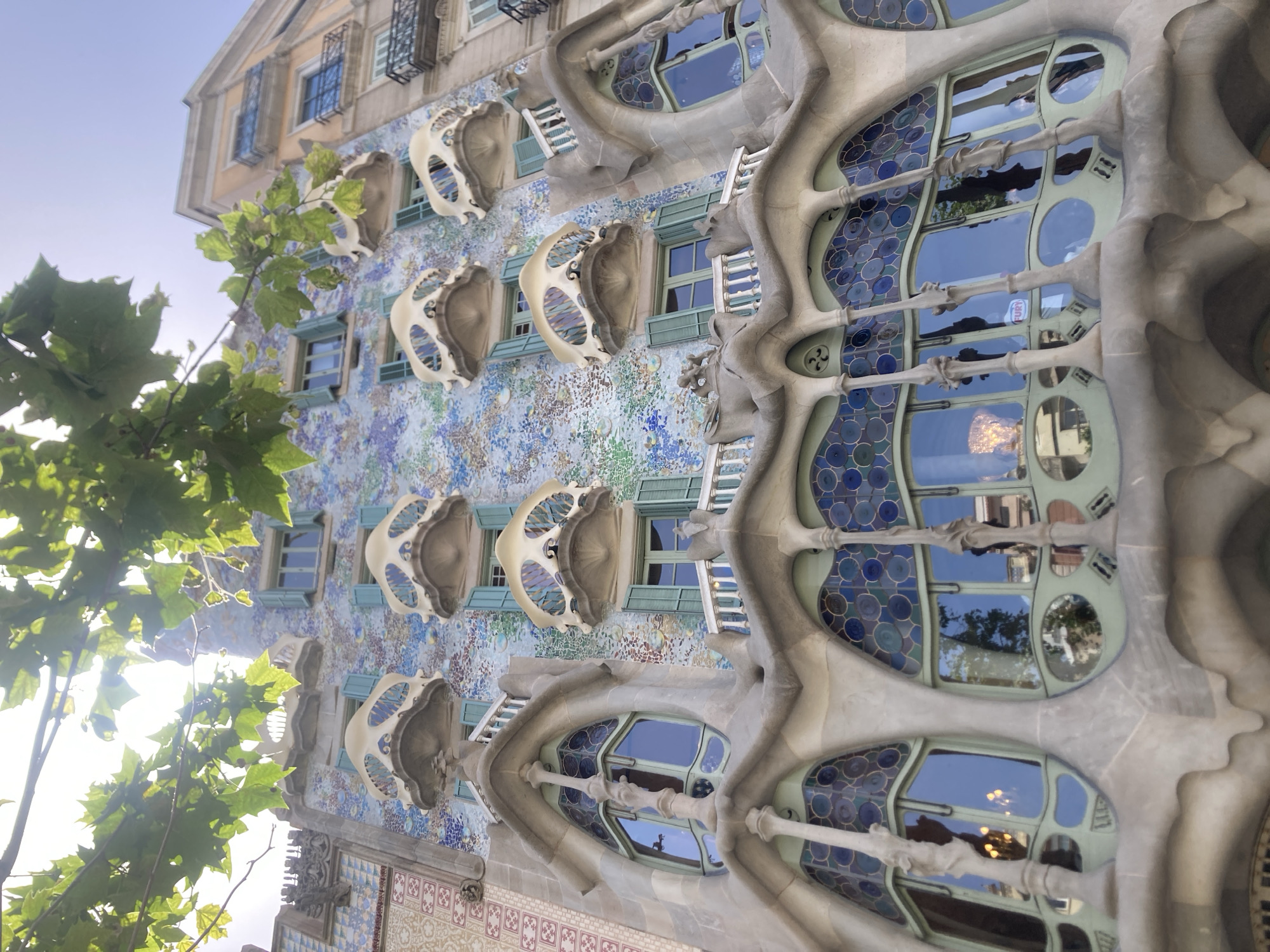 The image showcases the distinctive facade of Casa Batlló in Barcelona, Spain, a renowned work of Antoni Gaudí. The building's organic, undulating architecture is a central subject, characterized by its whimsical, bone-like balconies and a mosaic of colorful tiles that adorn the walls. The windows are a prominent feature, some with stained glass that reflects the sky and surrounding environment.
The scene is bathed in natural light, suggesting it is daytime, likely late afternoon or early morning given the soft, diffused quality of the sunlight. The sky is clear blue, indicating fair weather. Lush green leaves from an overhanging tree in the foreground partially obscure the view of the upper floors, adding a natural element to the urban setting.
The architectural style is highly ornamental and surreal, with elements that evoke natural forms such as bones, masks, and scales. The mosaic work appears to be a mix of blue and white, with hints of other colors, creating a vibrant and textured surface. The overall impression is one of artistic innovation and organic design, a hallmark of Gaudí's work. There is no discernible activity or event taking place; the image focuses solely on the building's exterior and its interaction with the natural light and surrounding greenery. No people are visible. The image is oriented vertically, with the sky appearing at the top and the lower parts of the building extending downwards.