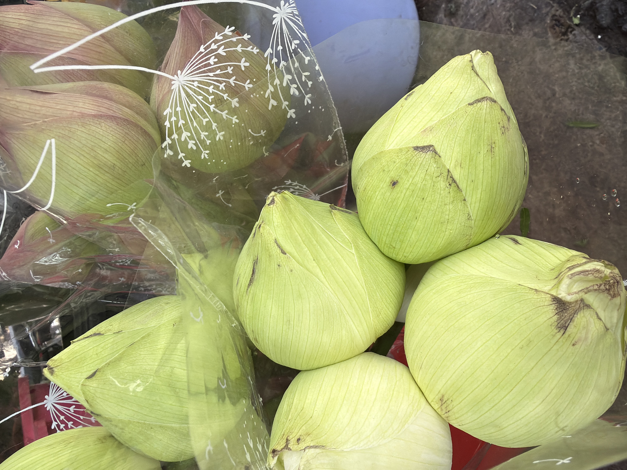 The image shows a close-up of several green lotus buds, some with slight reddish-purple tinges on their outer petals, wrapped in clear plastic. The buds vary in size and are arranged in a clustered manner, with some partially obscuring others. The plastic wrapping has white printed designs of dandelion-like seed heads. The background is blurred, but hints of other objects, possibly more flowers or produce, can be seen. The lighting suggests an outdoor setting, likely a market stall in Nha Trang Ward, Vietnam, given the context. The focus is entirely on the lotus buds, highlighting their texture and the details of the wrapping.