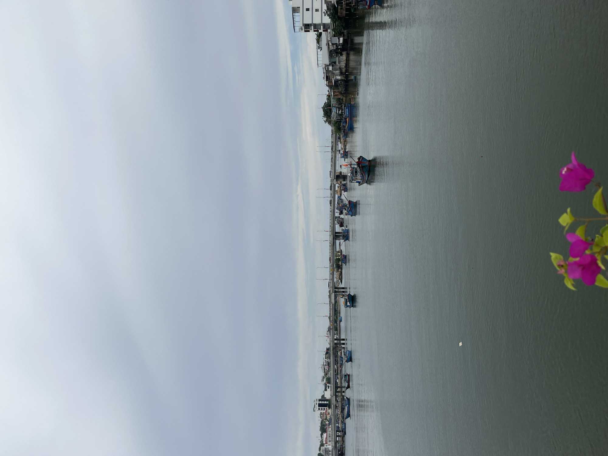 This is a photograph of a wide river in Nha Trang, Vietnam. The sky is overcast with gray clouds. Several boats, predominantly fishing boats, are moored or moving on the river. A long bridge spans the river in the background, with buildings and trees lining the riverbanks on both sides. In the foreground, a few bright pink flowers are visible, out of focus. The water is calm and reflects the gray sky.