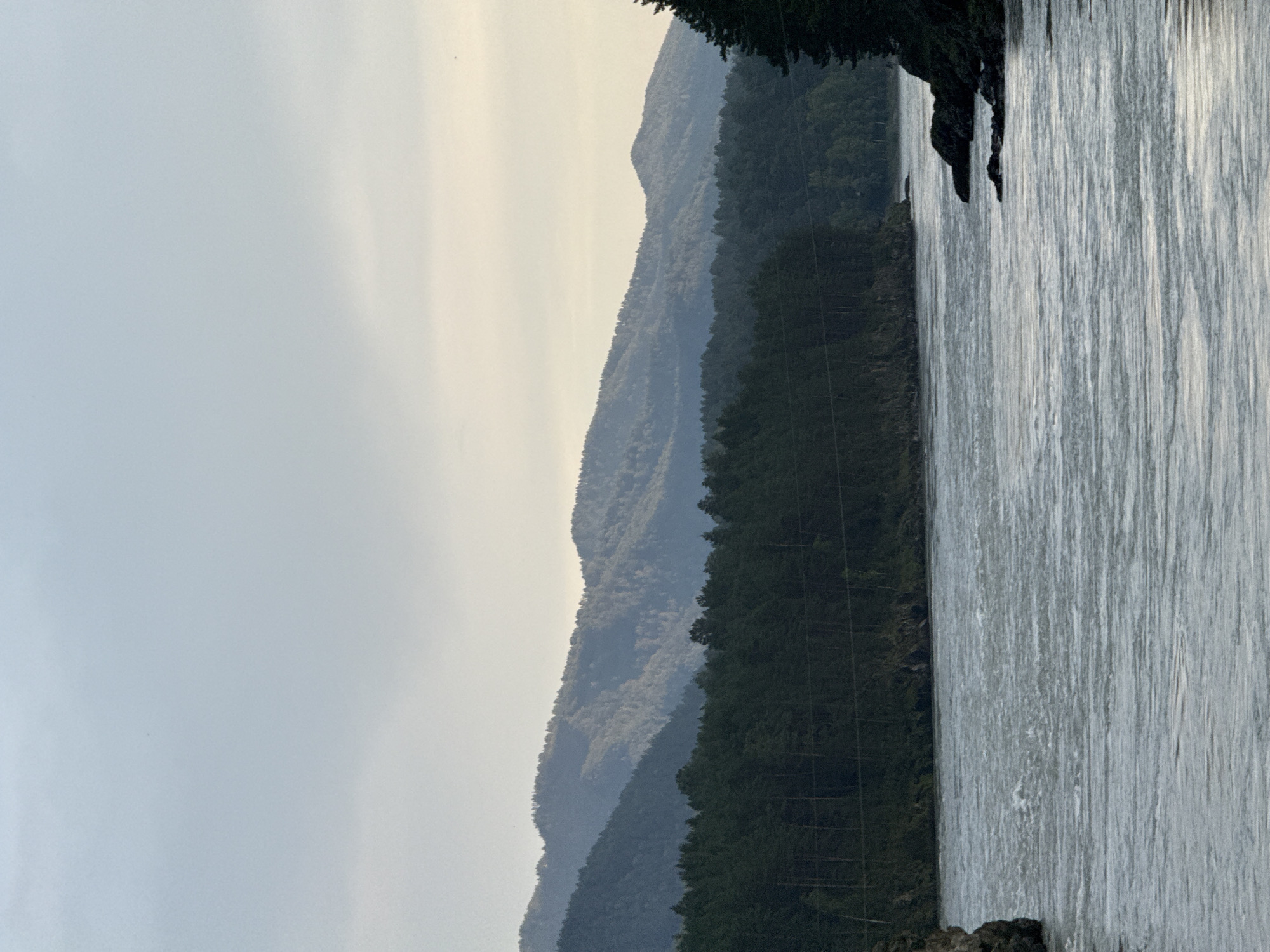 The image depicts a wide, turbulent river flowing through a forested valley in Barangol, Russia. The water is a light gray-blue, with visible ripples and waves indicating a strong current. On either side of the river, dense forests of dark green pine trees cover the lower slopes of rolling mountains. The mountains themselves are covered in vegetation, with multiple layers of them receding into the distance. The sky is overcast with a pale, hazy light, suggesting it is either early morning or late evening. There are no people or man-made structures visible in the image, creating a sense of untouched natural landscape. The overall impression is one of a wild and powerful natural environment.