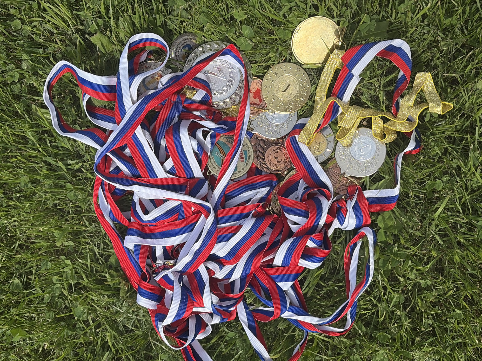 The image depicts a collection of medals strewn on grass. The medals vary in color from gold, silver, and bronze. Many of the medals are attached to ribbons featuring red, white, and blue stripes. One medal has a gold ribbon shaped into the letters "MMA". The scene is located in Chaikovsky, Russia.