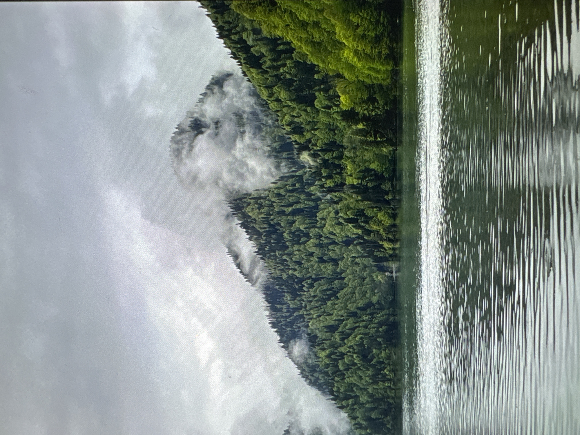 The image depicts a serene, overcast day at a lake bordered by a dense, green, forested mountainside. The water in the foreground displays a rippled surface, reflecting the muted light. The mountains are covered in a thick canopy of coniferous trees, with patches of mist clinging to their upper slopes and summits, partially obscuring the peaks. The sky is a uniform grey, filled with clouds that suggest a cool, damp atmosphere. No people or man-made structures are visible in the scene, emphasizing the natural and untouched quality of the landscape. The location is described as Unknown, Unknown.